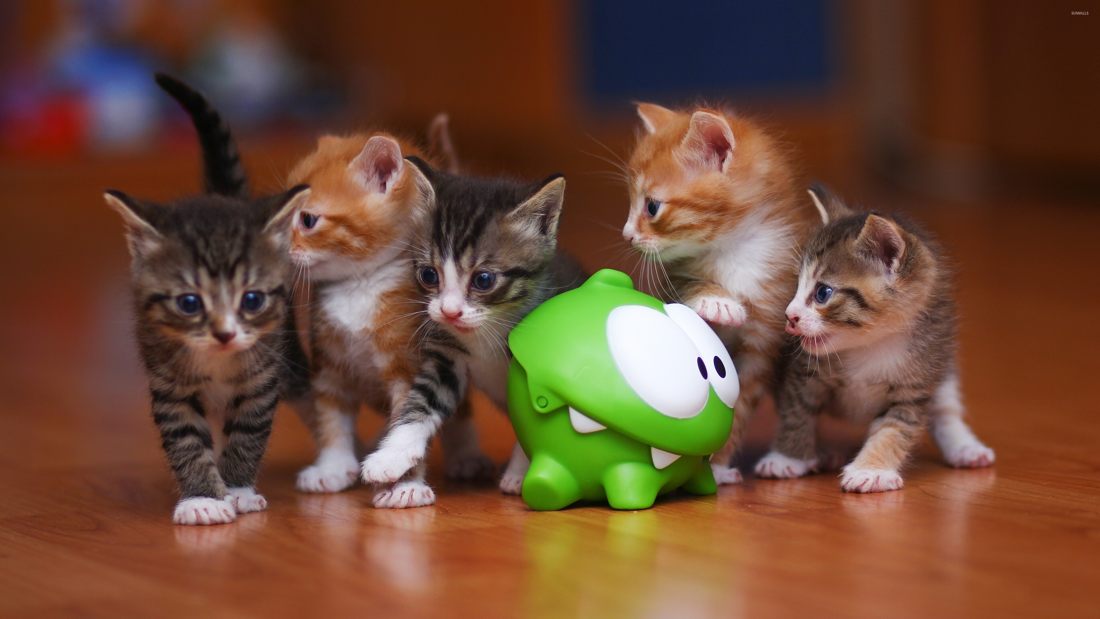 Cute kittens wallpaper, Animal wallpapers, Cute kittens, Wallpaper, 3840x2160 4K Desktop