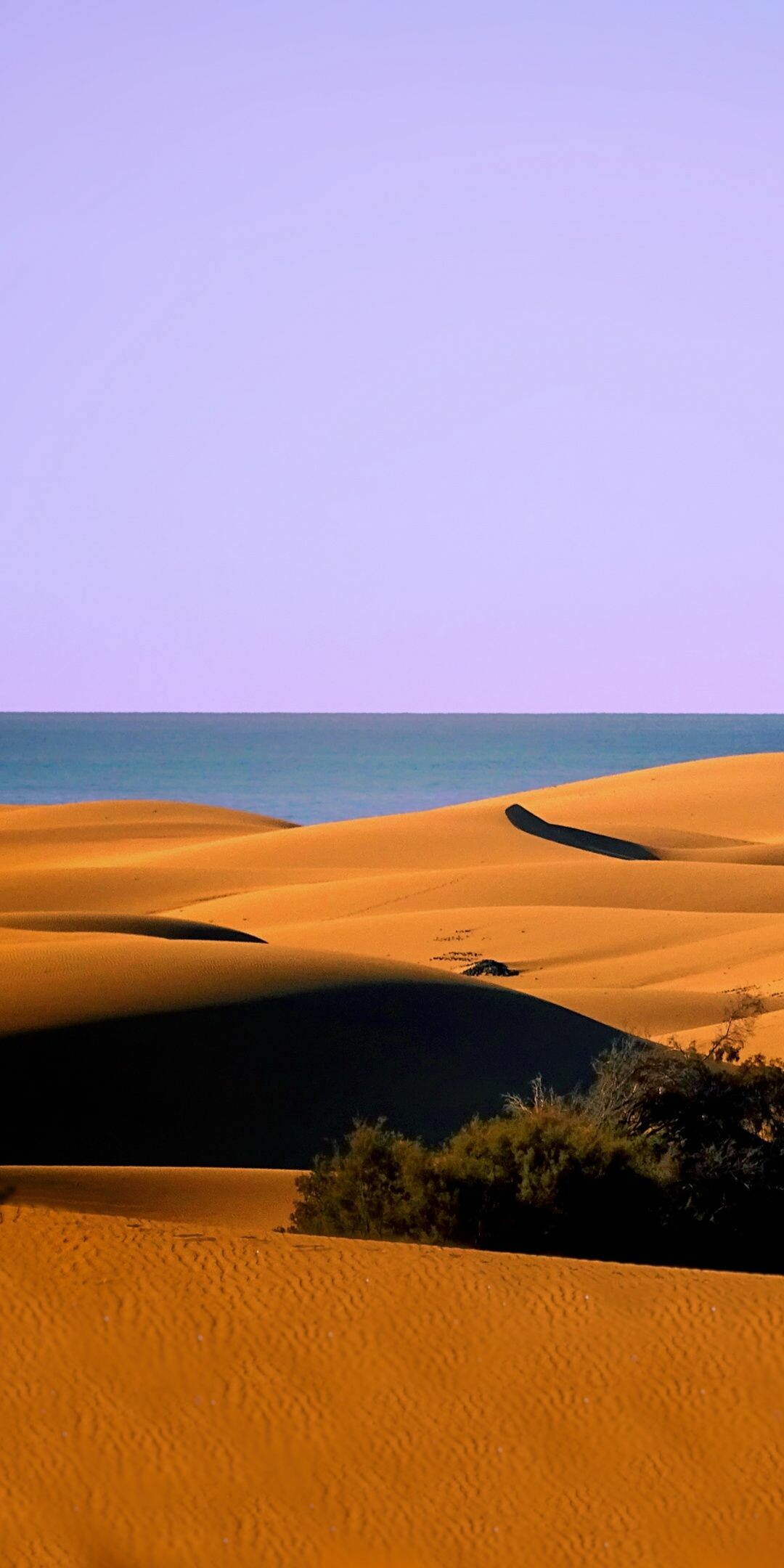 Dunes by the sea, Coastal desert beauty, Nature's harmony, Mesmerizing landscape, 1080x2160 HD Phone