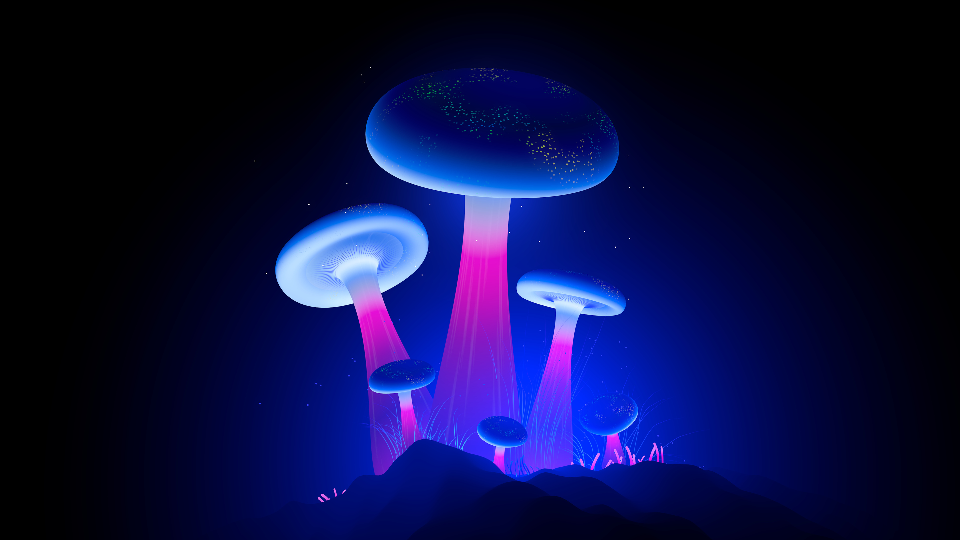 Neon mushrooms, Aesthetic Wallpaper, 3840x2160 4K Desktop