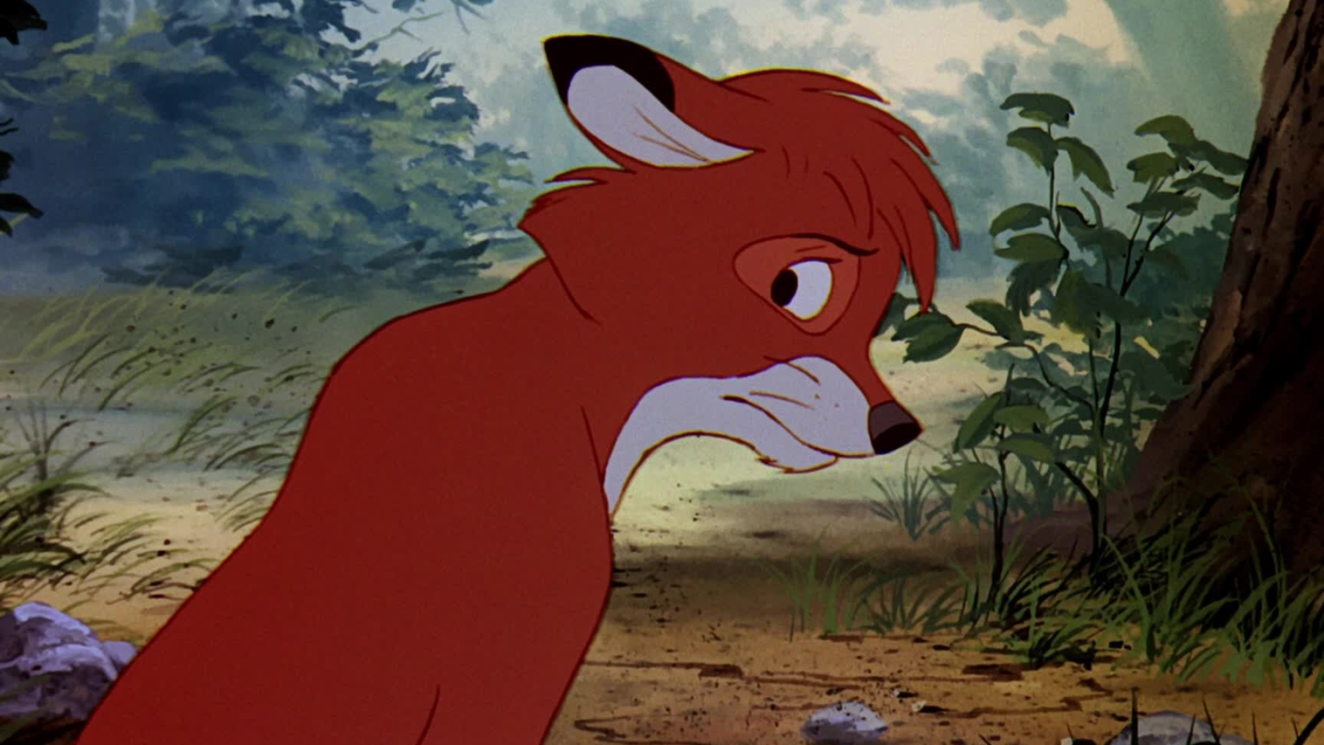 The Fox and the Hound, Nostalgic screenshots, Captivating moments, Fanpop, 1920x1080 Full HD Desktop