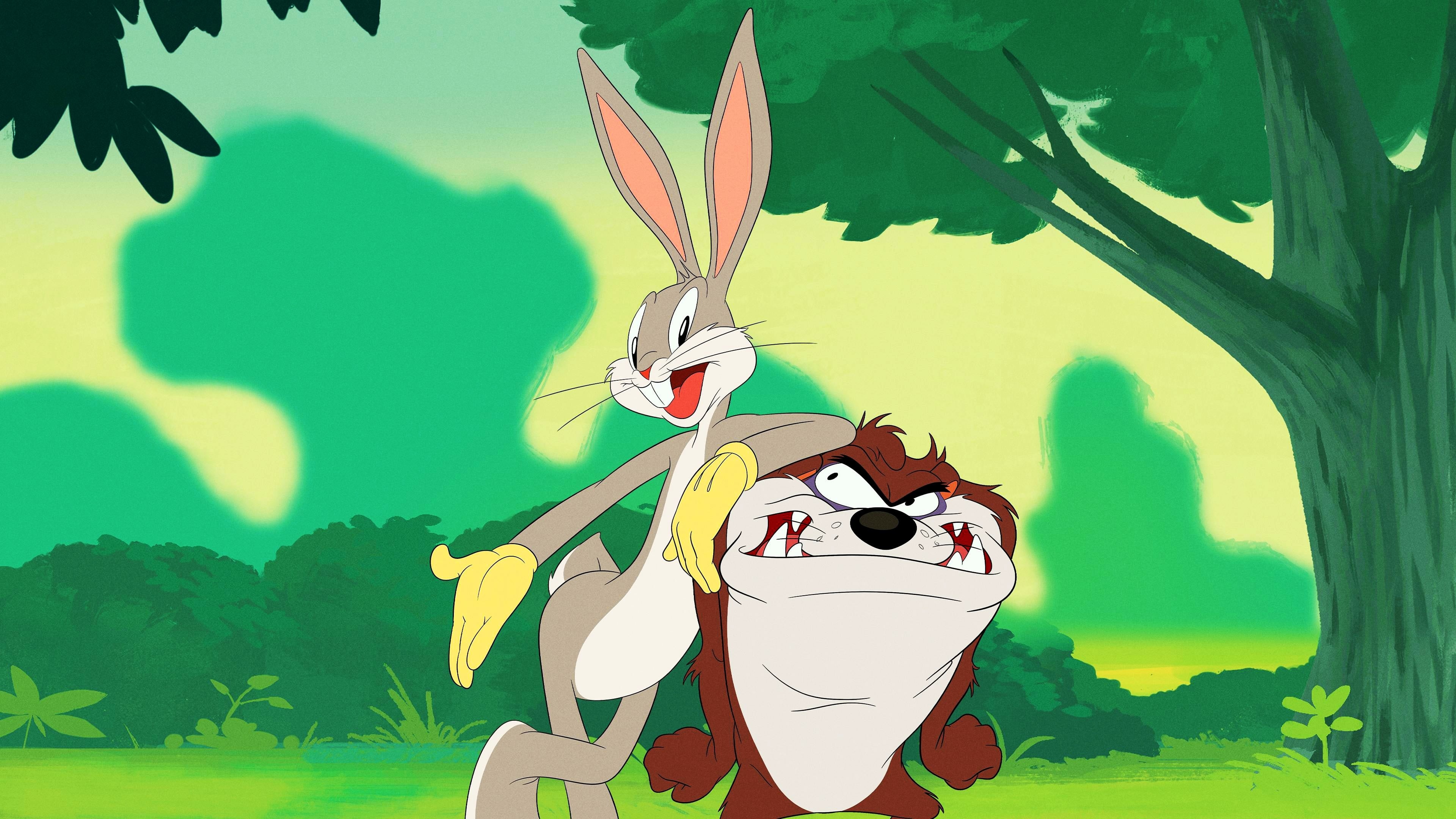 Bugs Bunny and Taz, Looney Tunes Characters Wallpaper, 3840x2160 4K Desktop