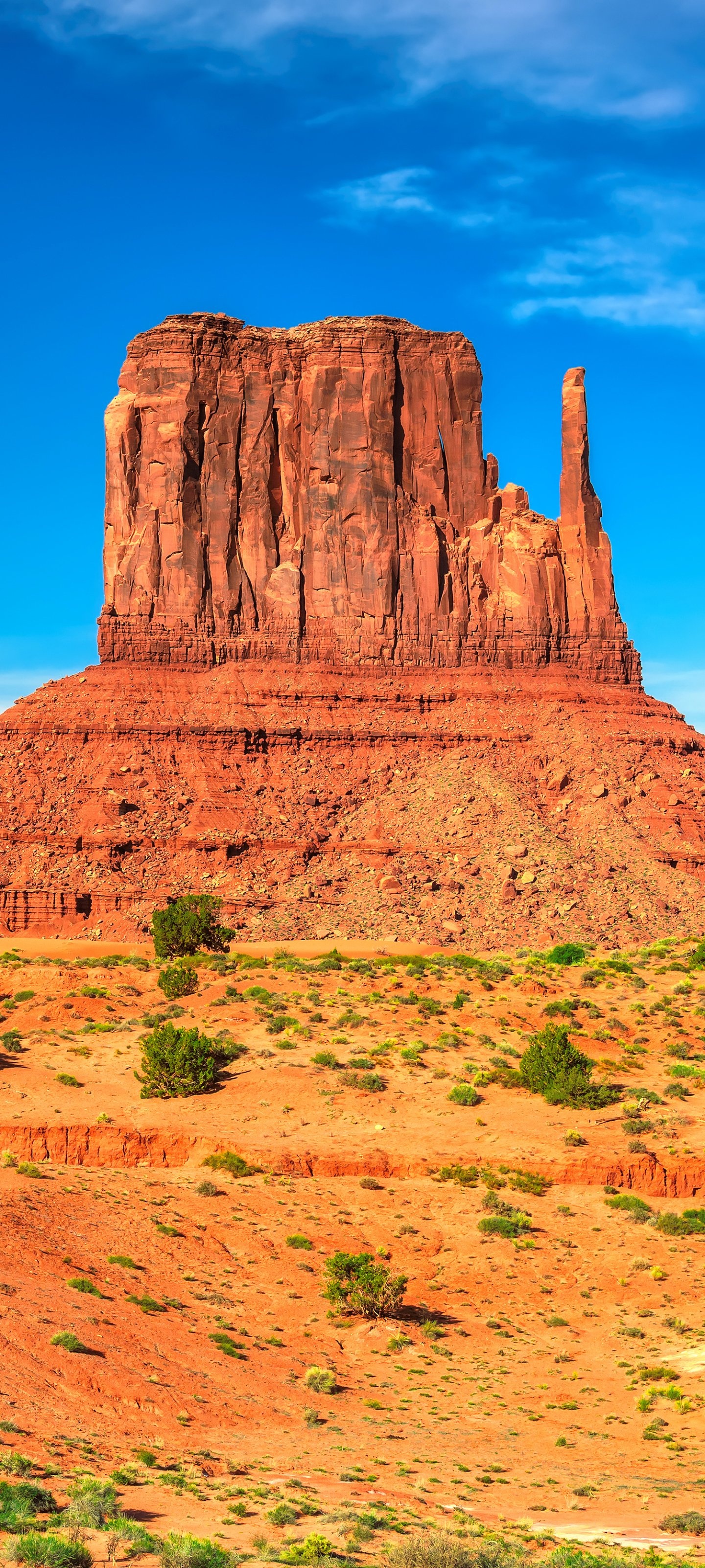 West Mitten Butte, Arizona Wallpaper, 1440x3200 HD Phone