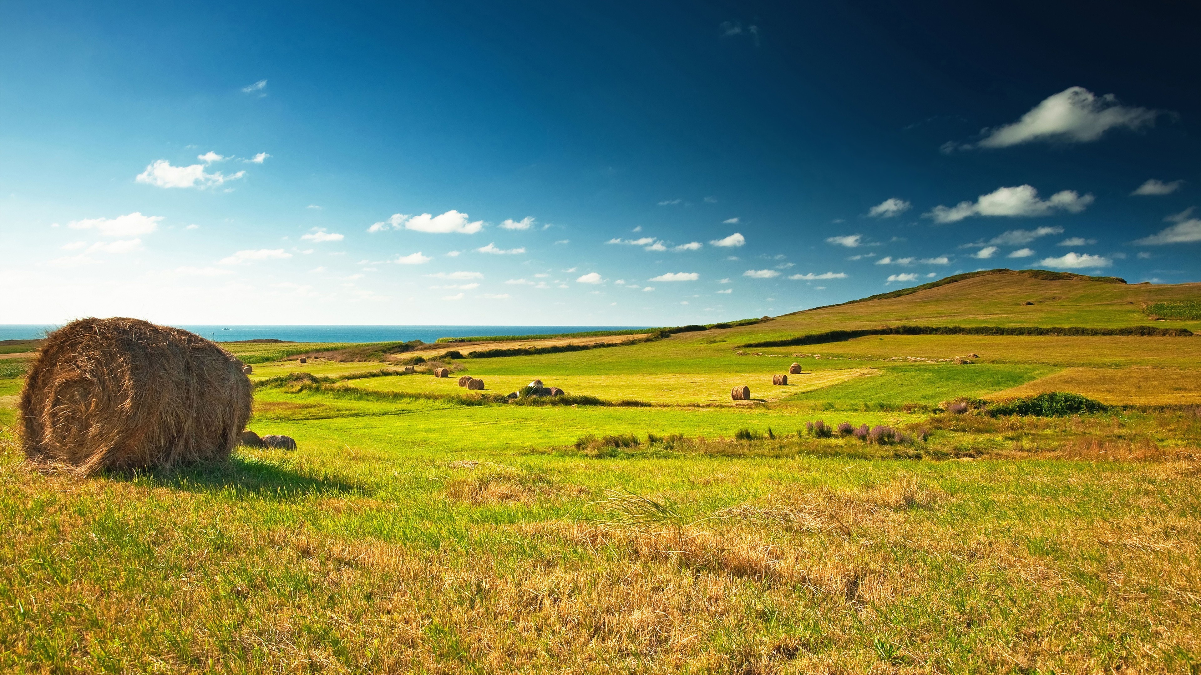 Wallpaper meadows 5K, 4K wallpaper hay, Sky clouds grass, Nature 6145, 3840x2160 4K Desktop