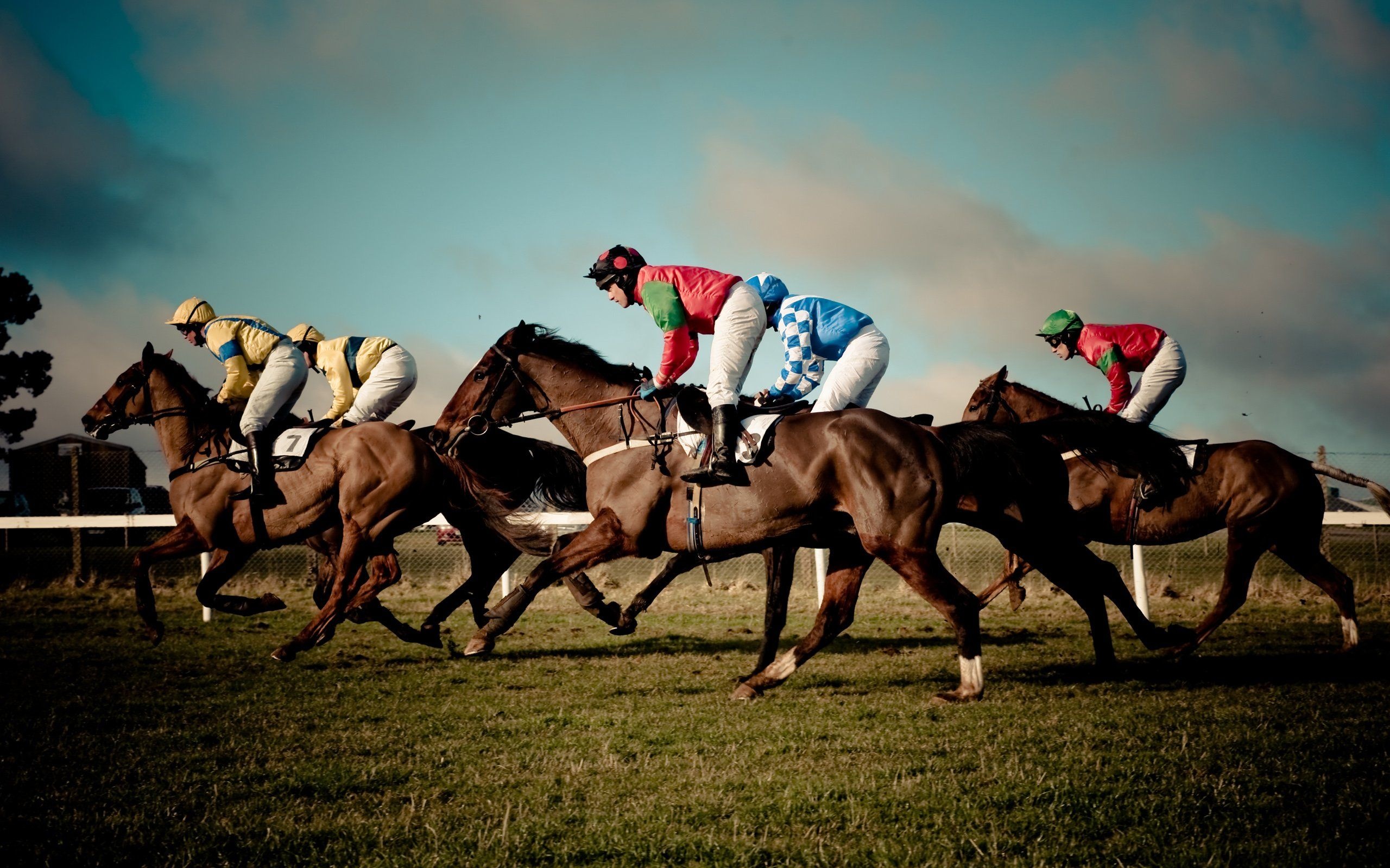 Horse race wallpapers, Free backgrounds, Top, 2560x1600 HD Desktop