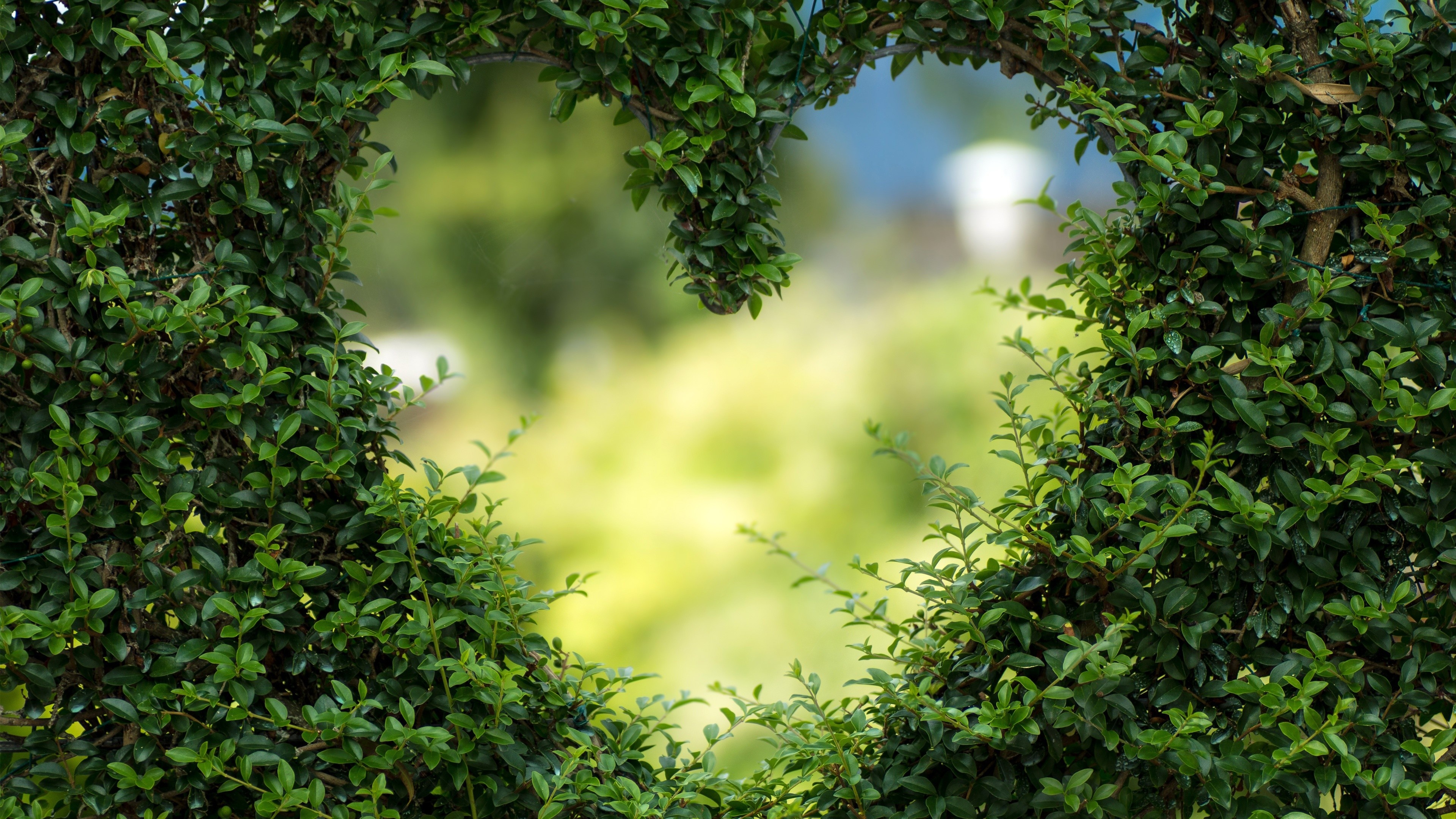 Bush, Heart Shape Wallpaper, 3840x2160 4K Desktop