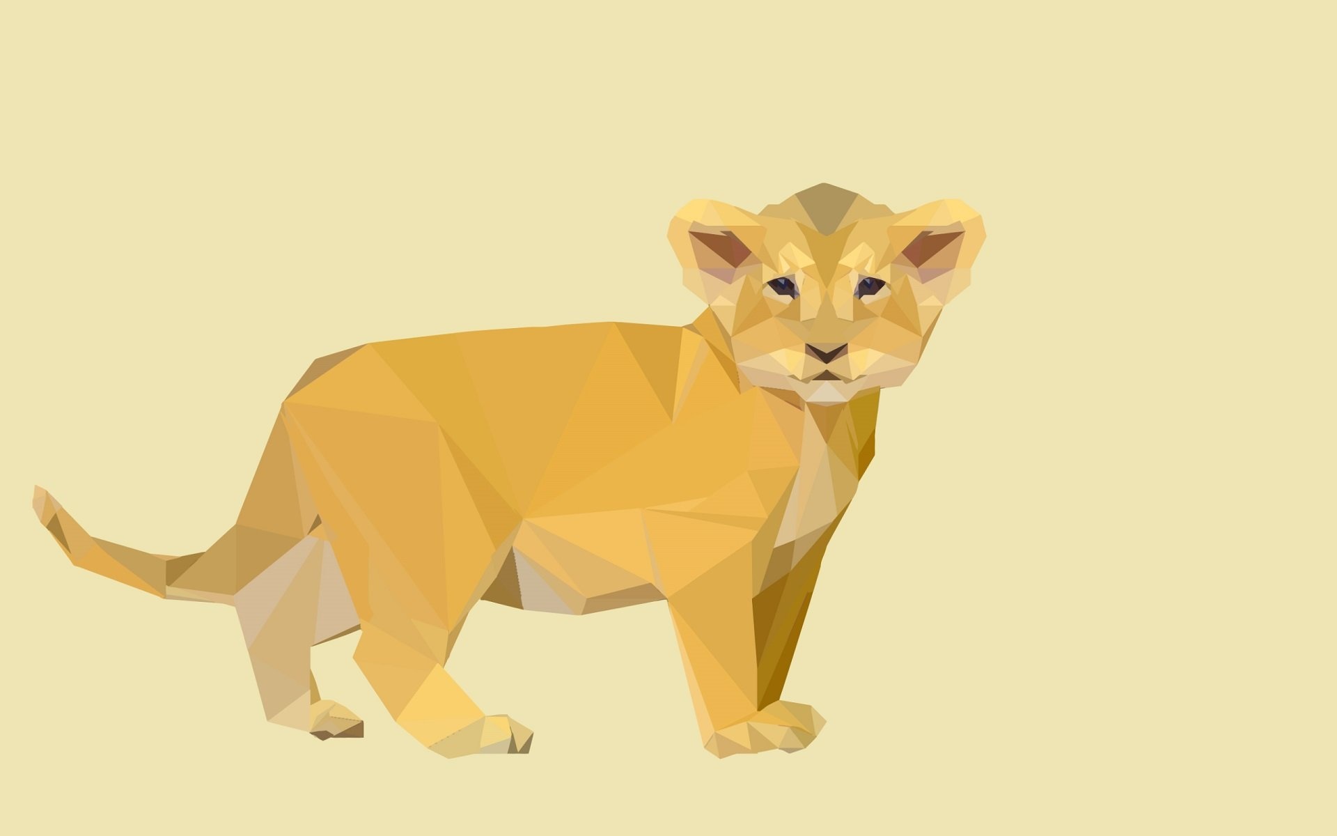 Baby lion, Facets Wallpaper, 1920x1200 HD Desktop