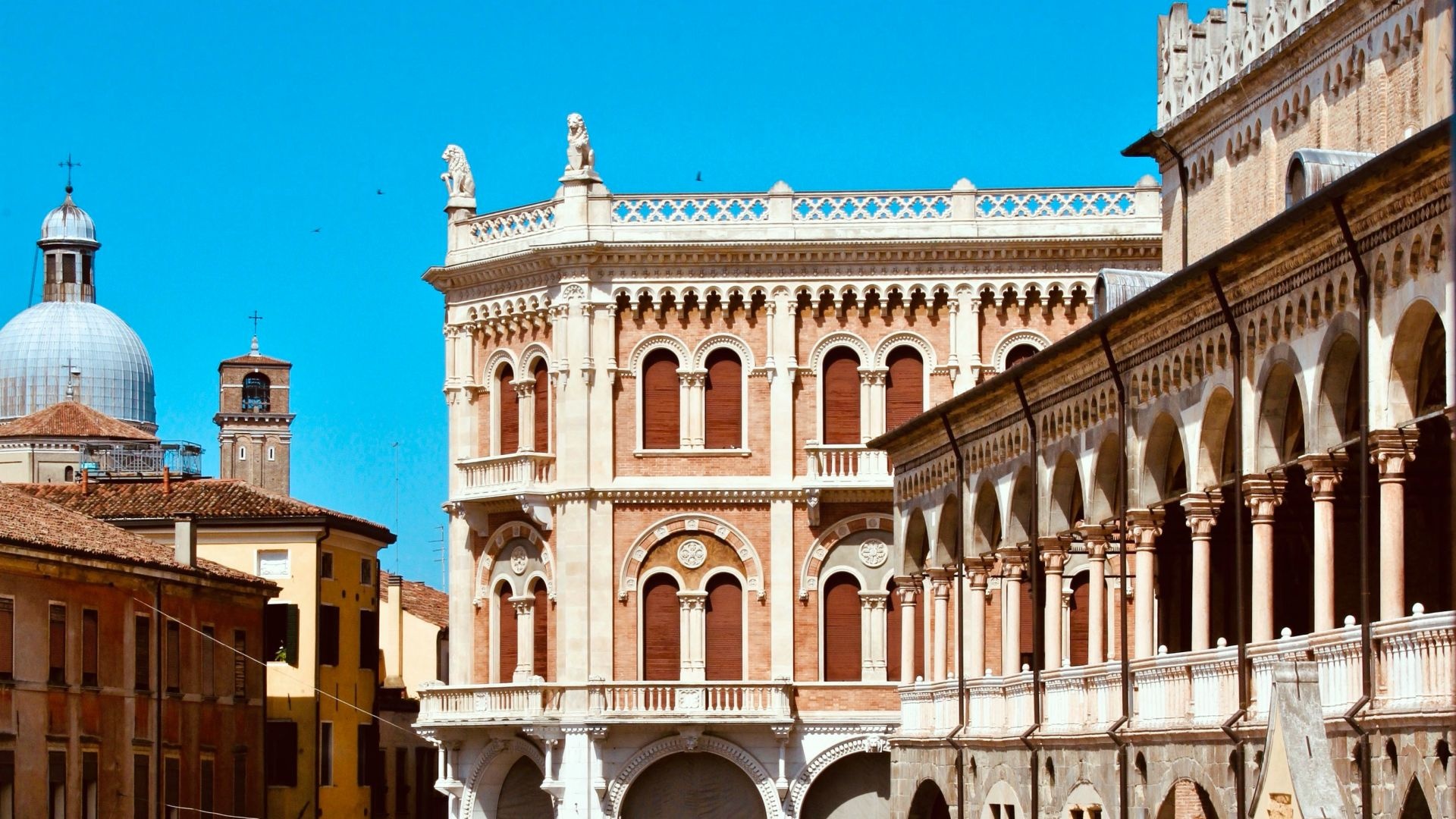 University of Padova, Esteemed institution, World-class education, Academic excellence, 1920x1080 Full HD Desktop