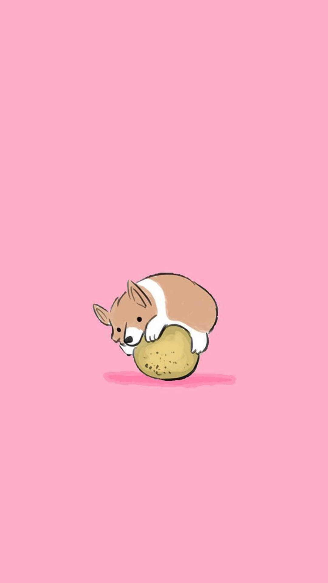 Corgi, Cute iPhone Backgrounds Wallpaper, 1080x1920 Full HD Phone