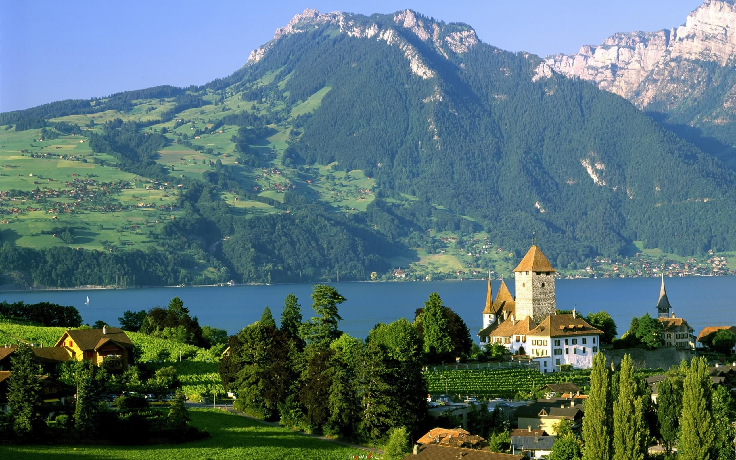 Spiez Castle, Switzerland Wallpaper, 2560x1600 HD Desktop