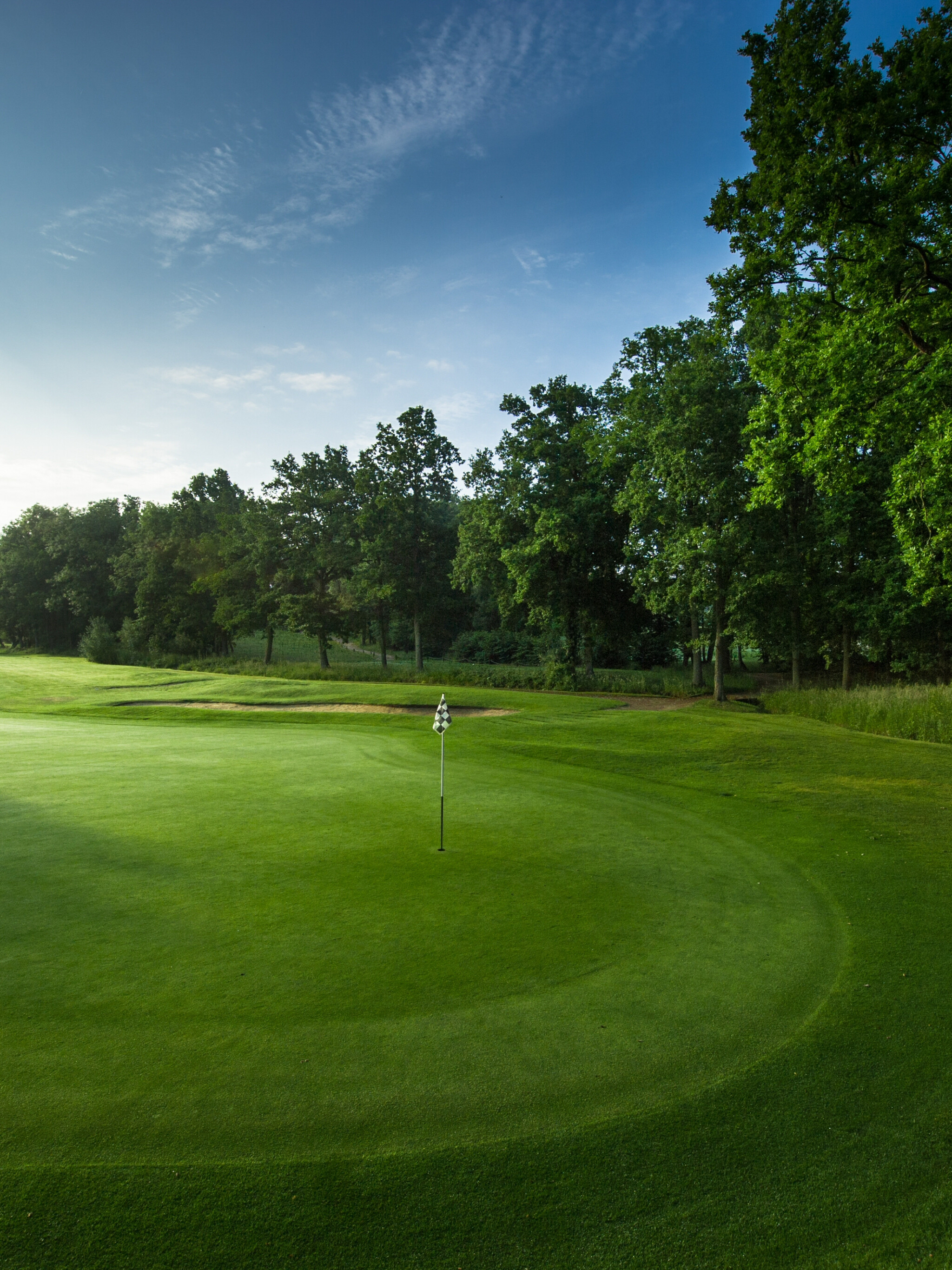 Golf wallpaper, Beautiful golf course, Panoramic view, Serene atmosphere, 2050x2740 HD Phone