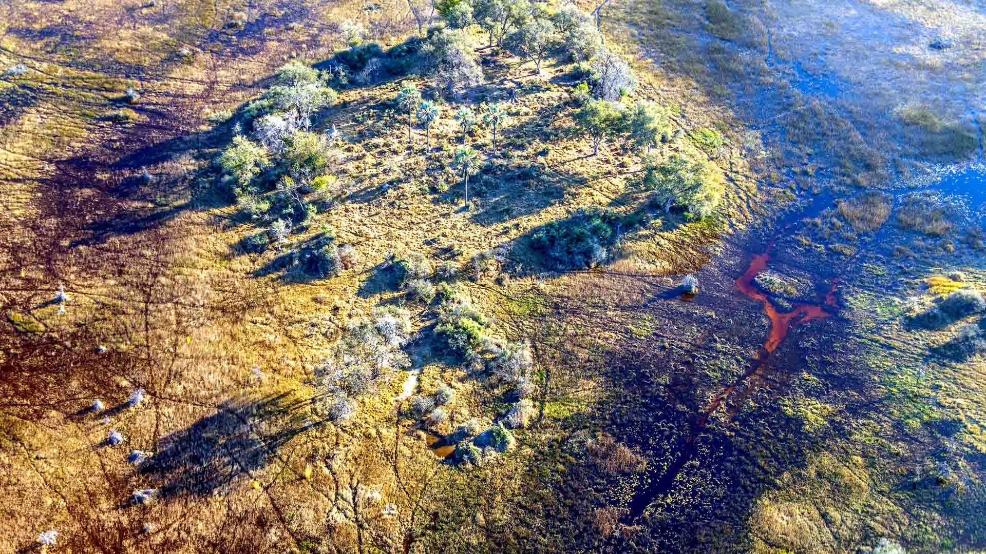 Okavango Delta, Natural World Safaris, African wildlife, Nature's beauty, 1920x1080 Full HD Desktop