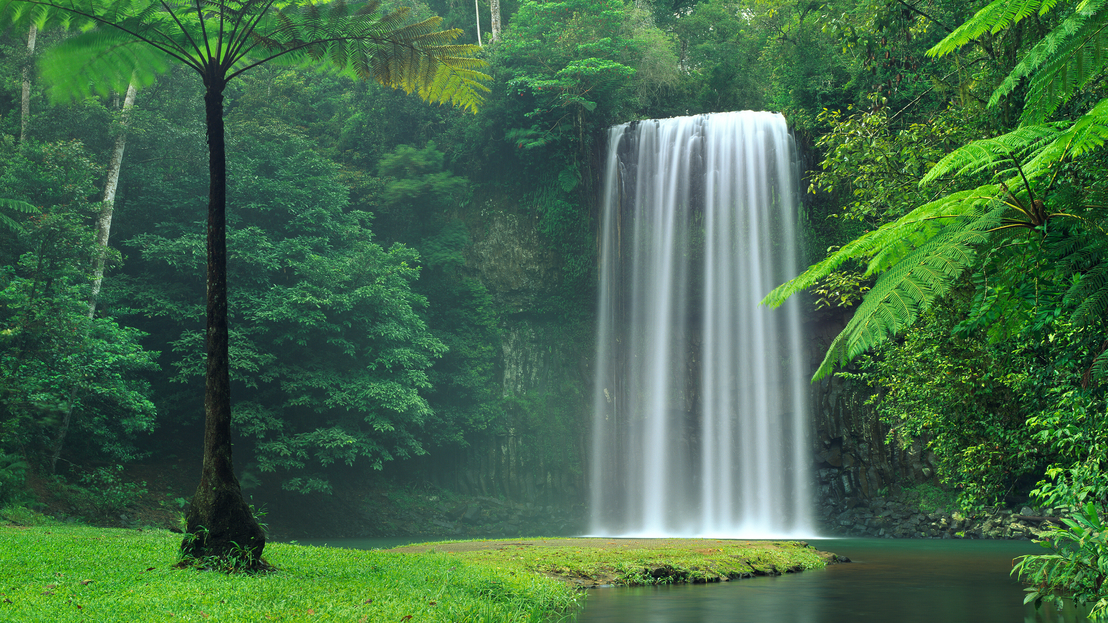 Mystical forest charm, Serene waterfall, Tranquil ambiance, Nature's tranquility, 3840x2160 4K Desktop