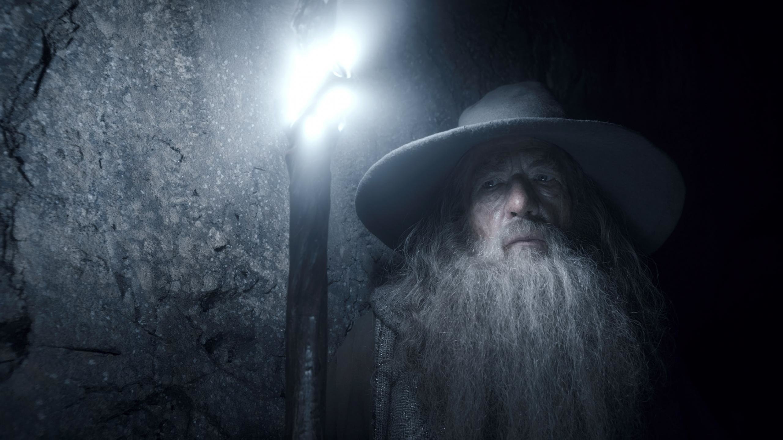 The Hobbit: The Desolation Of Smaug, Gandalf the White Wallpaper, 2560x1440 HD Desktop