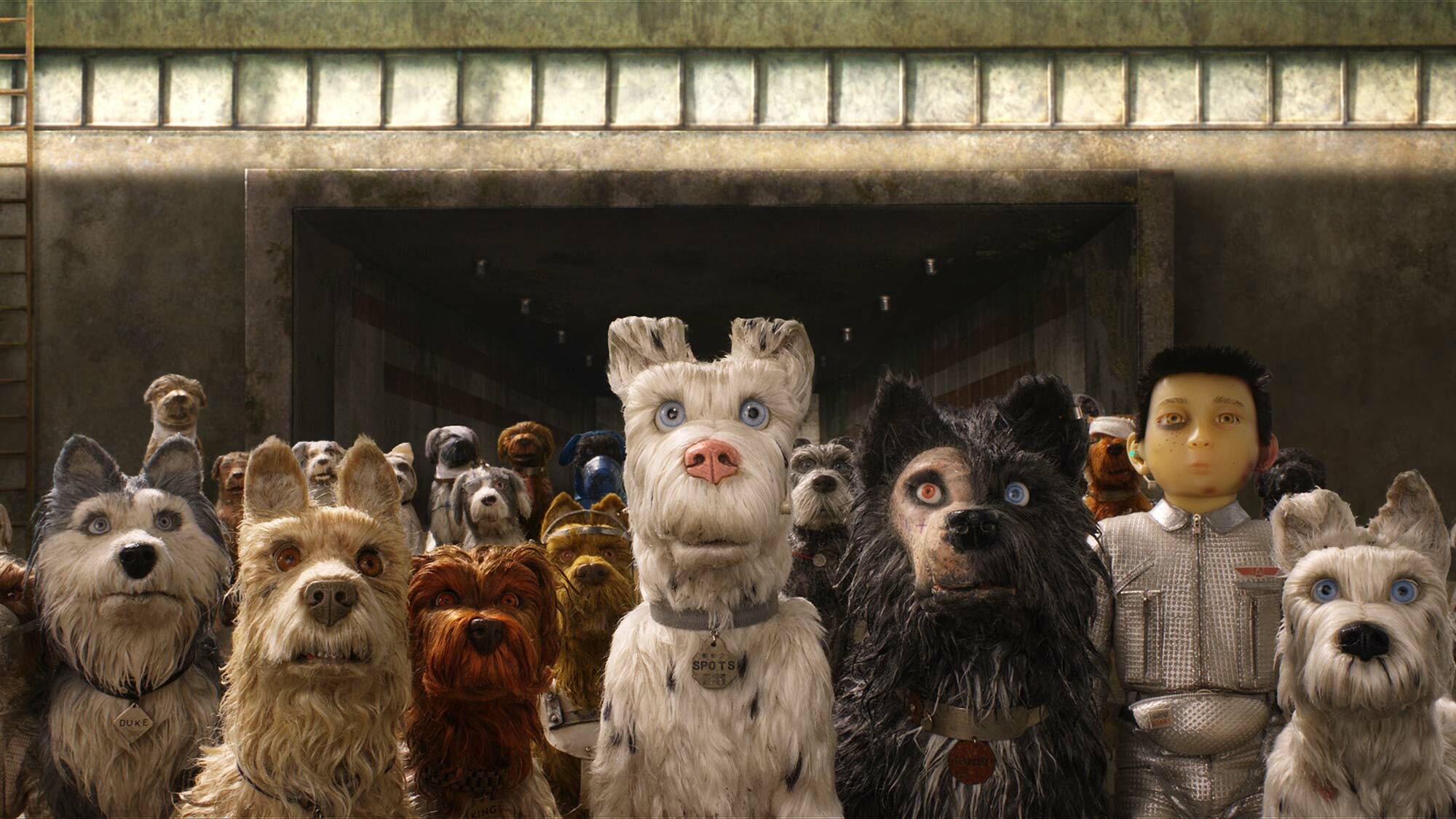 Isle of Dogs animation, Dystopian movies, Italian ratilde ordf ve, 2000x1130 HD Desktop