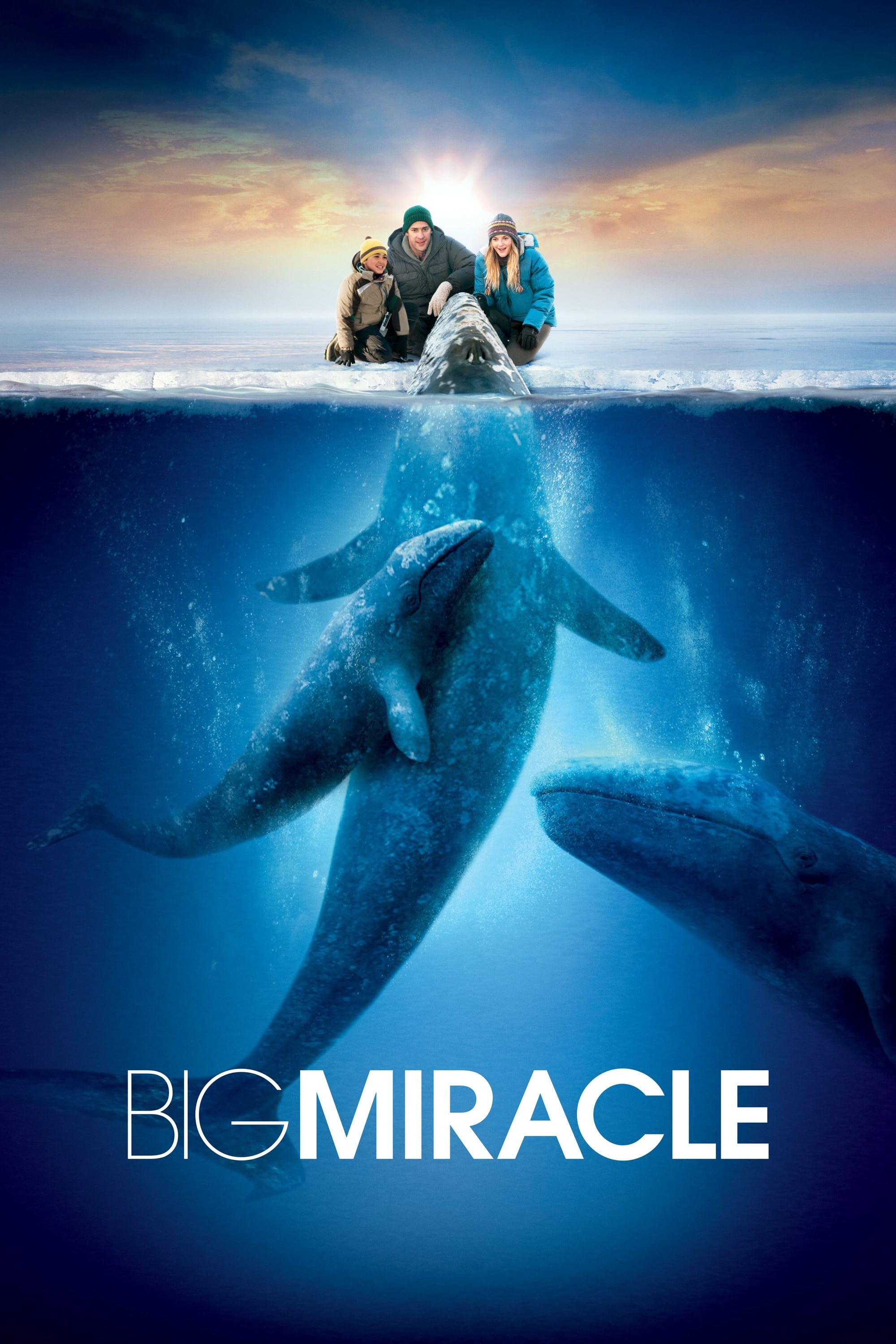 Big Miracle movie, Watch online, Plex, Movies, 2000x3000 HD Phone