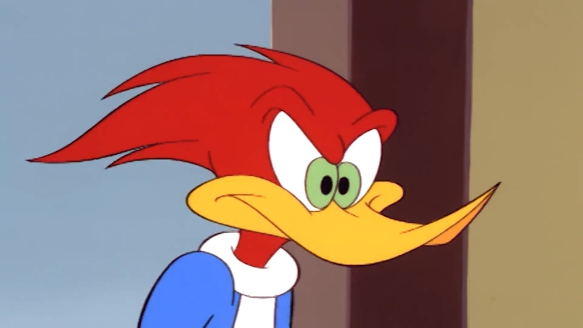 Woody Woodpecker, Cute illustration, Funny cartoon, Animated character, 1920x1080 Full HD Desktop