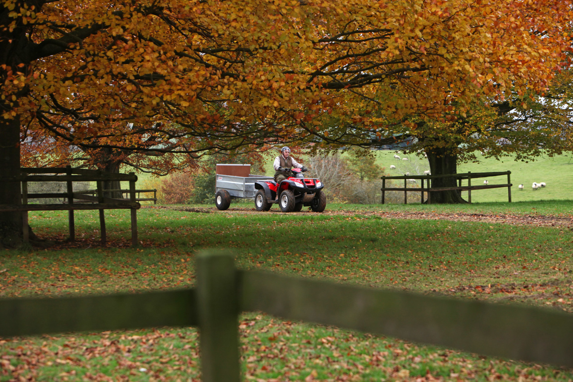 Honda TRX680FA, Auto, NZ ATV, 1920x1280 HD Desktop