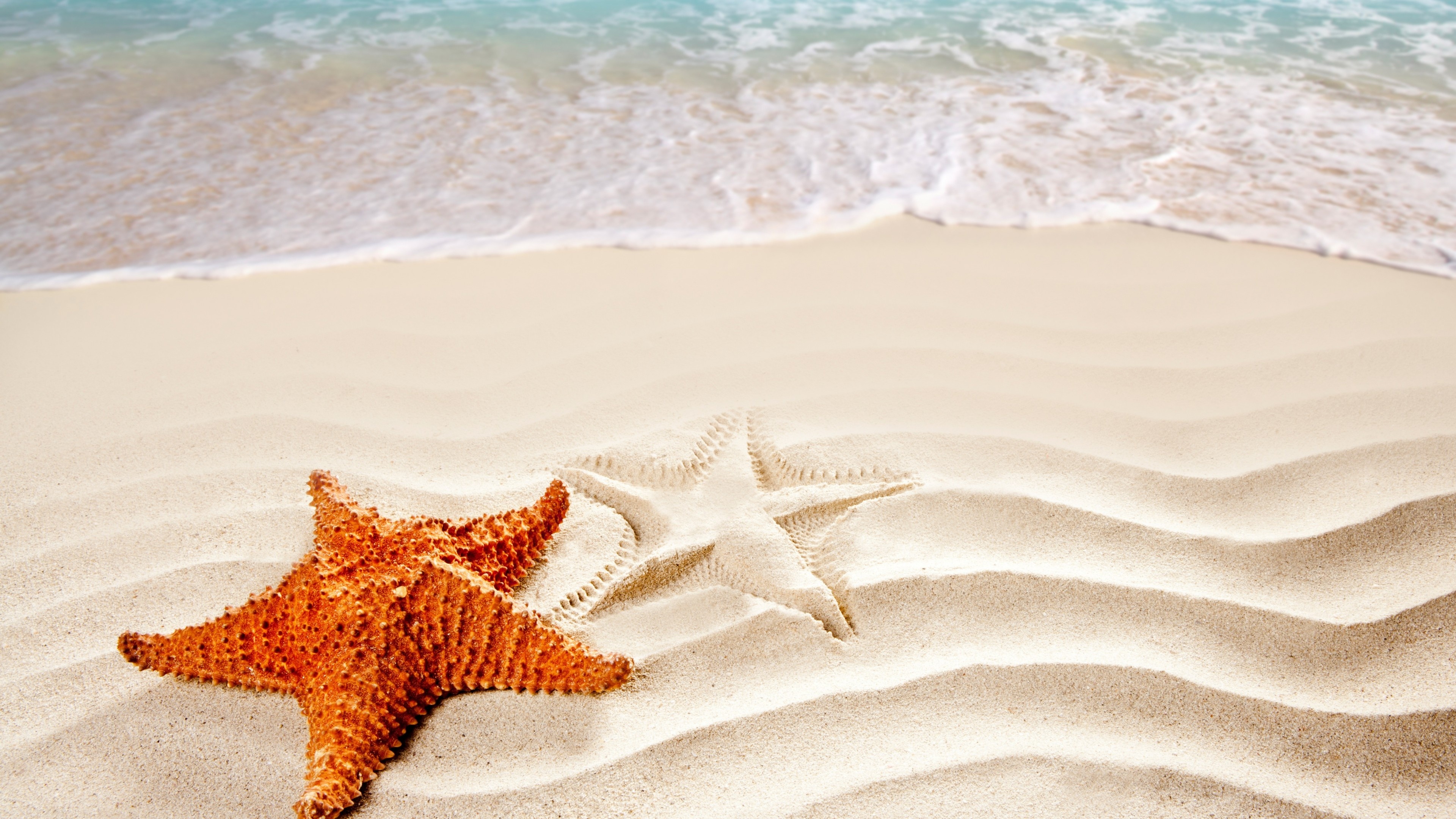 Sea wallpaper beauty, Oceanic starfish, World's best beaches, Serene shorelines, 3840x2160 4K Desktop