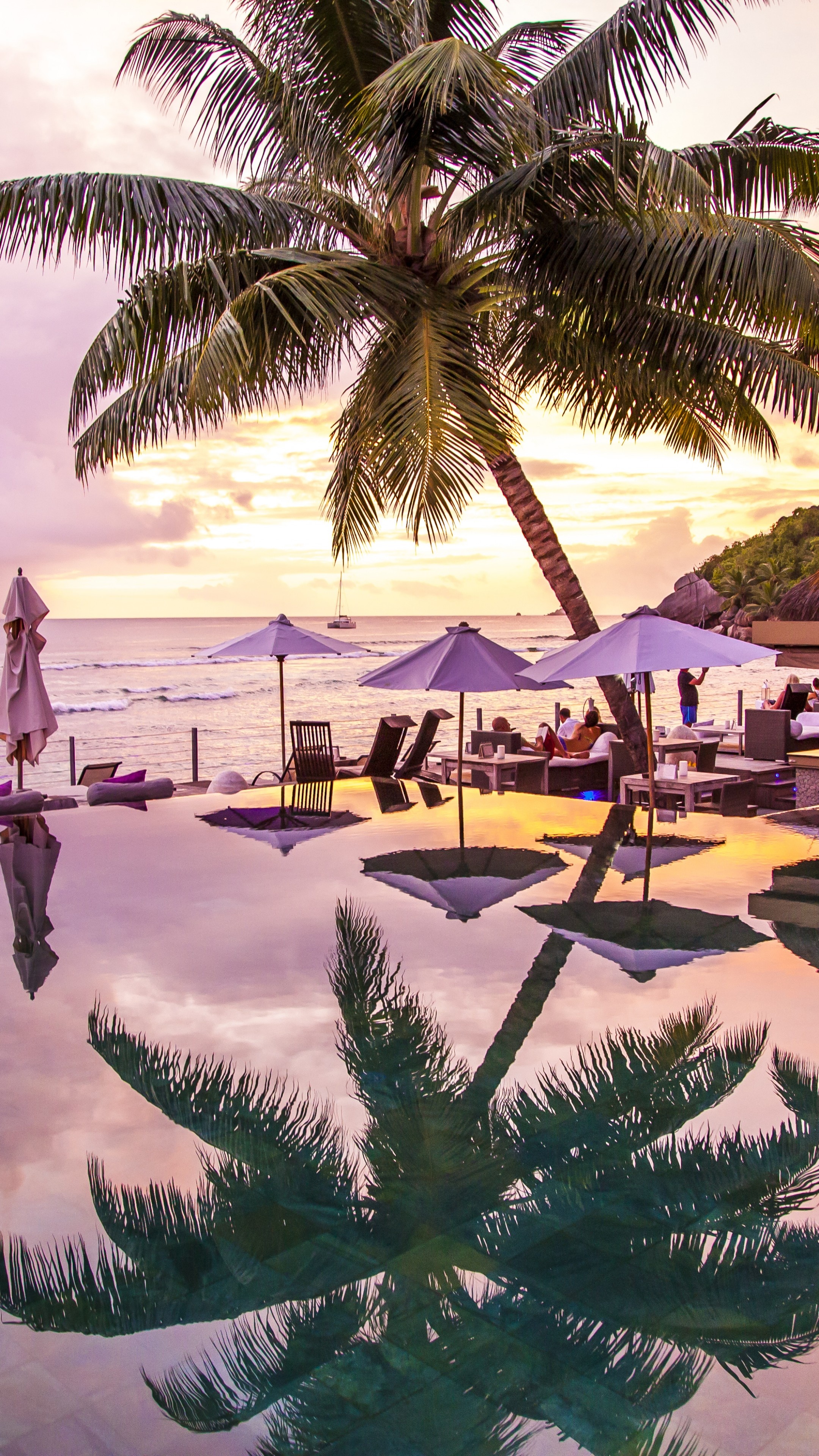 Infinity pool, 8K wallpaper, La Digue Praslin Seychelles, Palms travel, 2160x3840 4K Phone