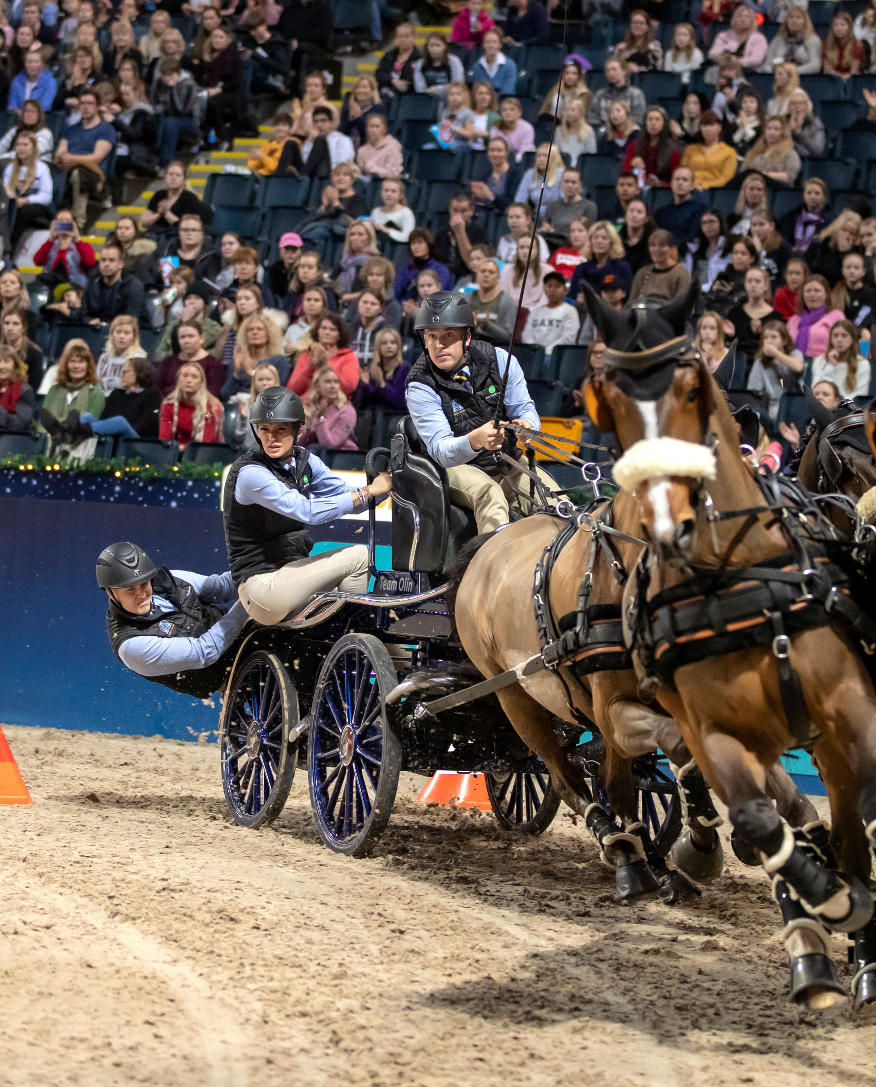 FEI Driving World Cup, Carriage Driving Wallpaper, 1780x2200 HD Phone