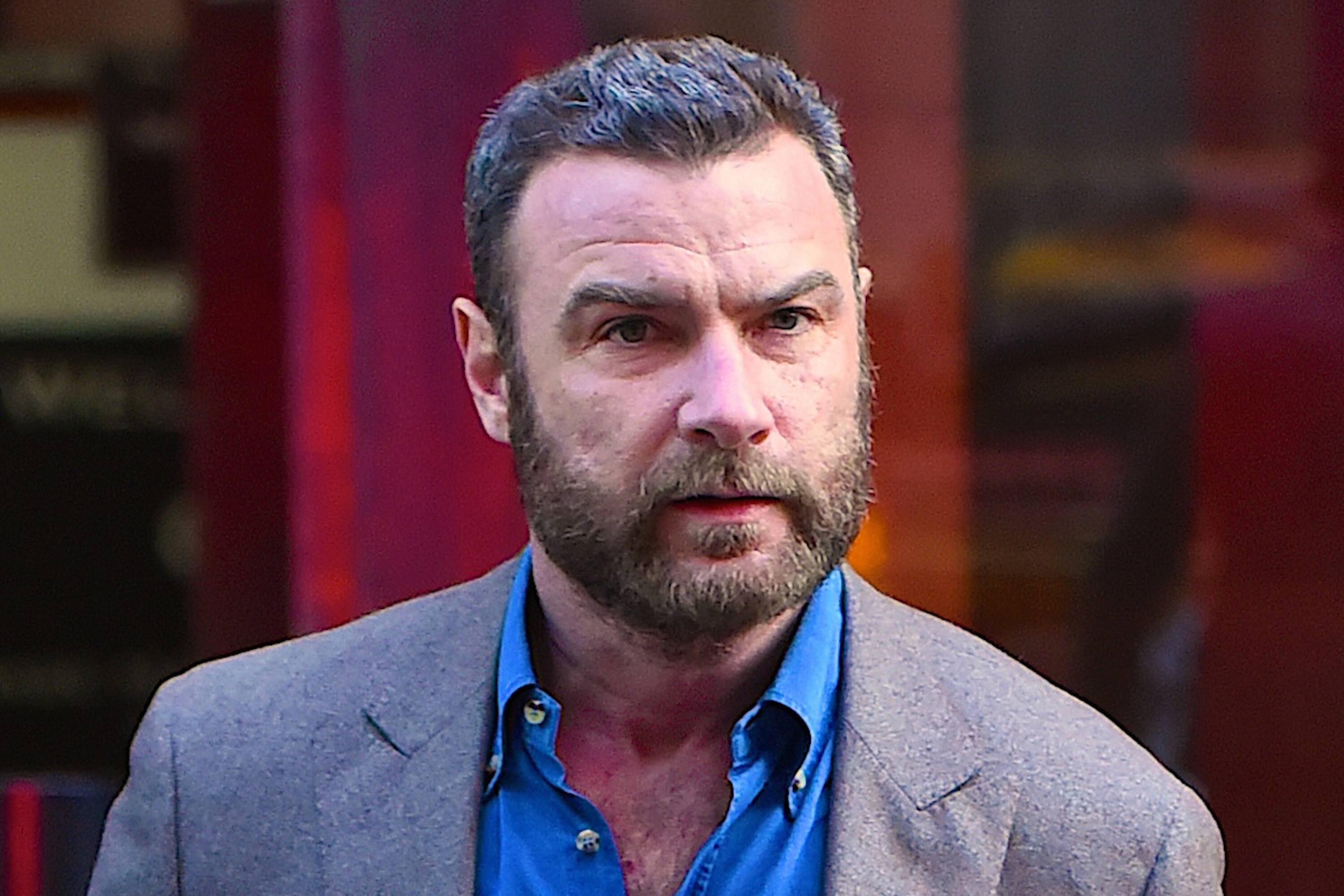 Liev Schreiber, Harassment charges, False accusations, Legal matters, 3000x2000 HD Desktop