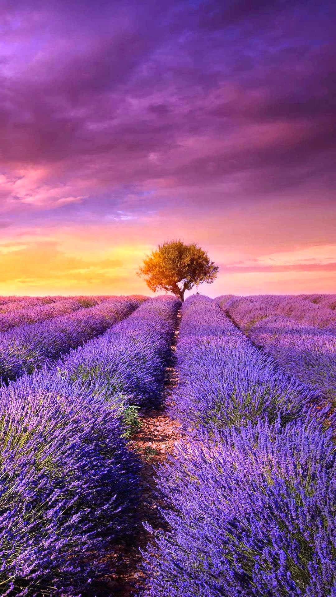 Beautiful landscapes, Nature's beauty, Phone wallpaper, 1080x1920 Full HD Phone