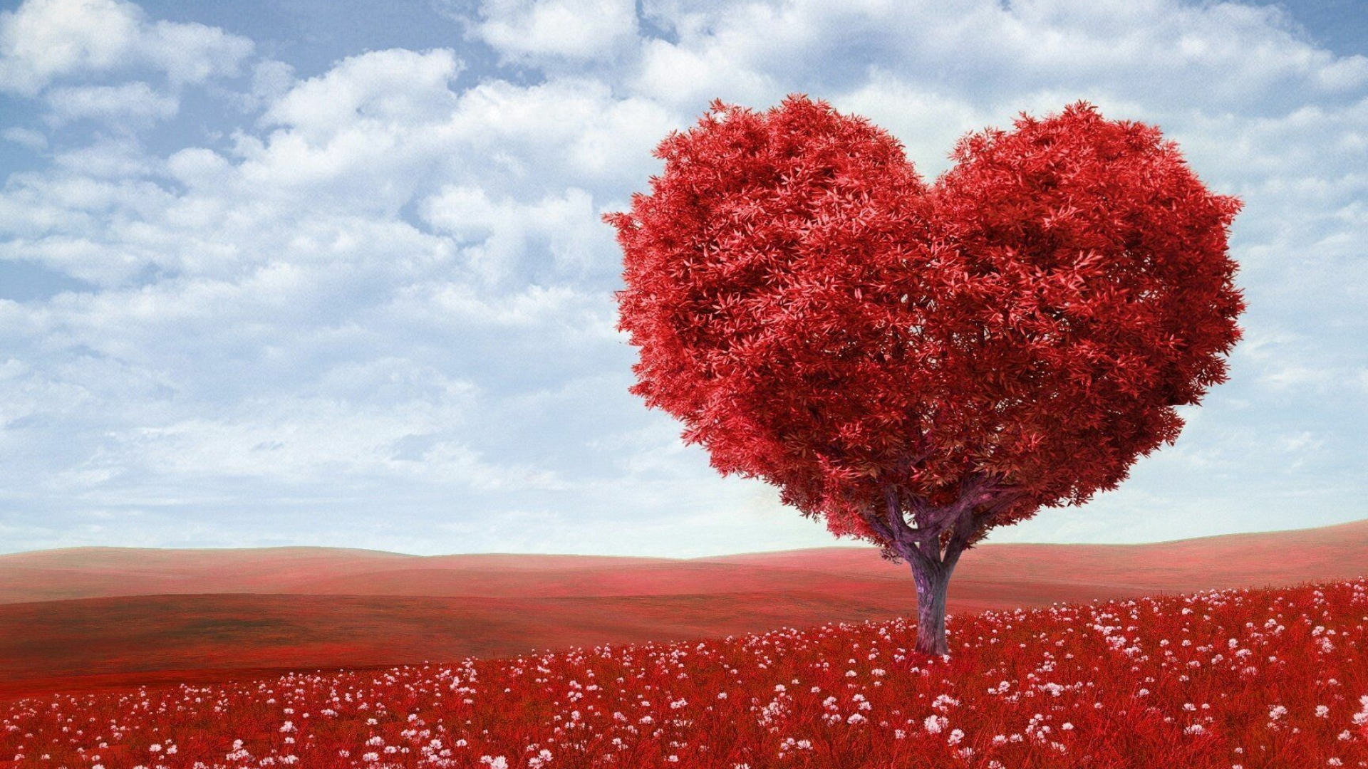 Heart tree, Trees Wallpaper, 1920x1080 Full HD Desktop