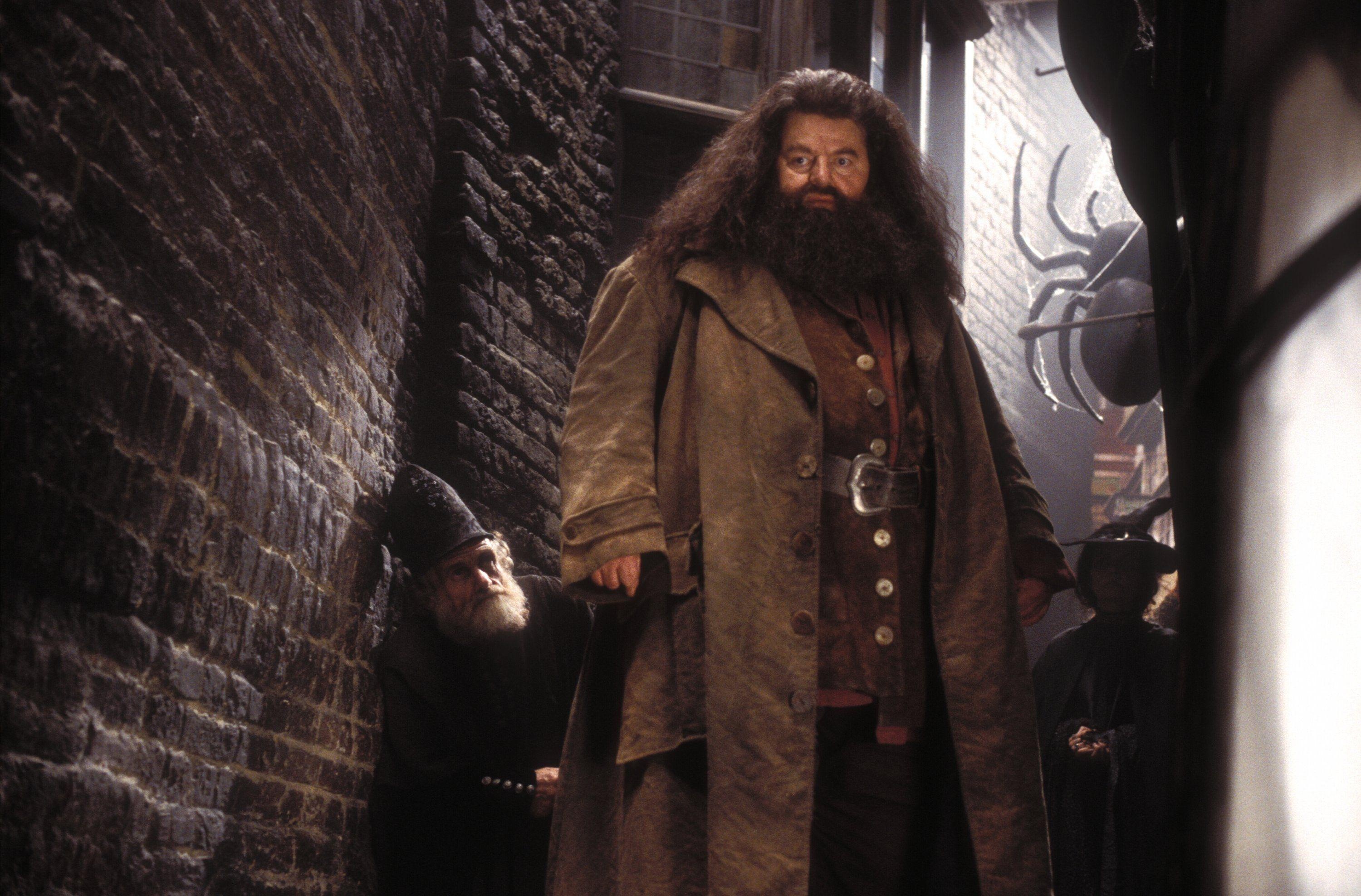 Hagrid, Keeper of keys, Gamekeeper's hut, Gentle soul, 3000x1980 HD Desktop