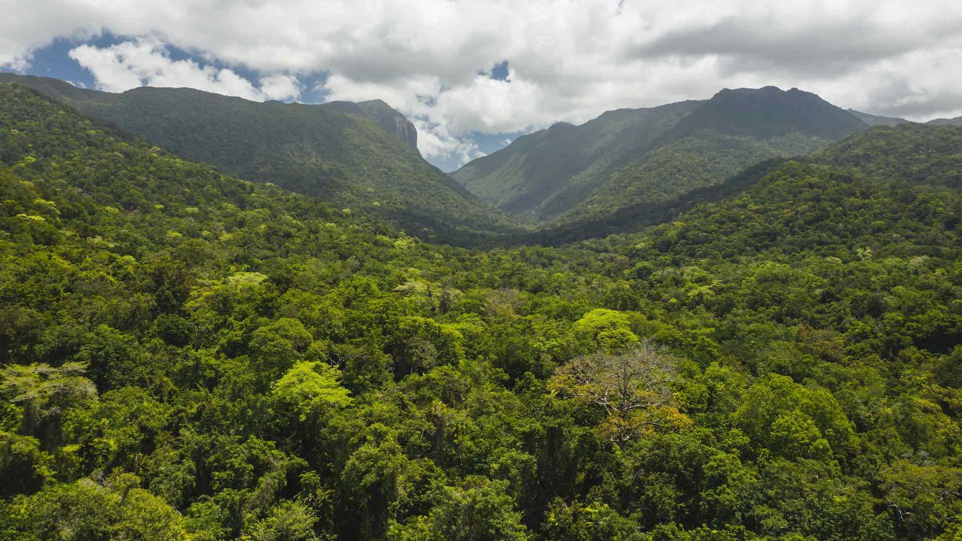 Daintree National Park, Explore responsibly, Tropical North Queensland, 1920x1080 Full HD Desktop