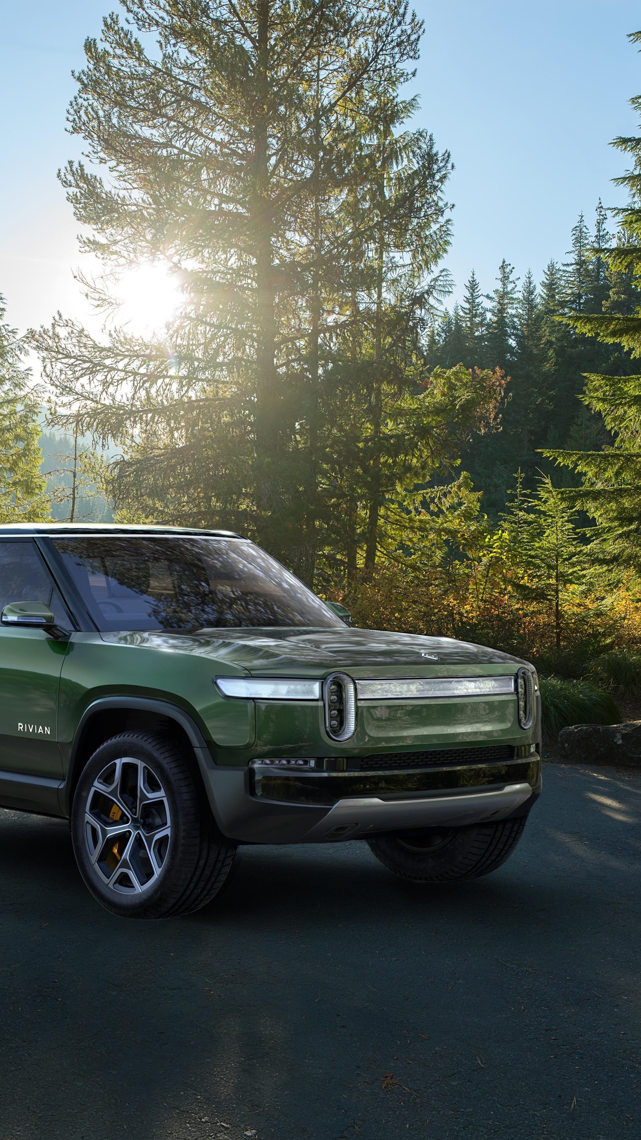 Forest, Rivian Automotive Wallpaper, 2160x3840 4K Phone