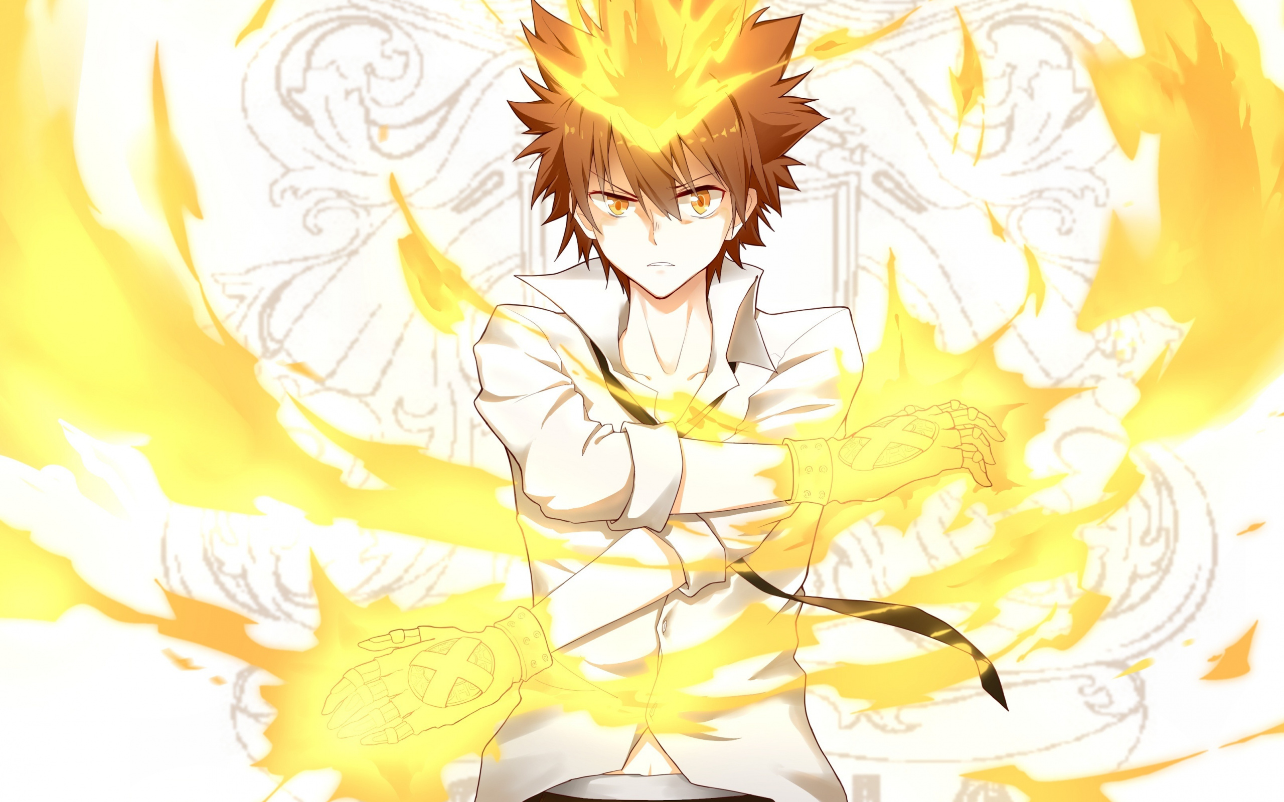 Tsunayoshi Sawada, Protagonist, Manga, Katekyo Hitman Reborn, 2560x1600 HD Desktop