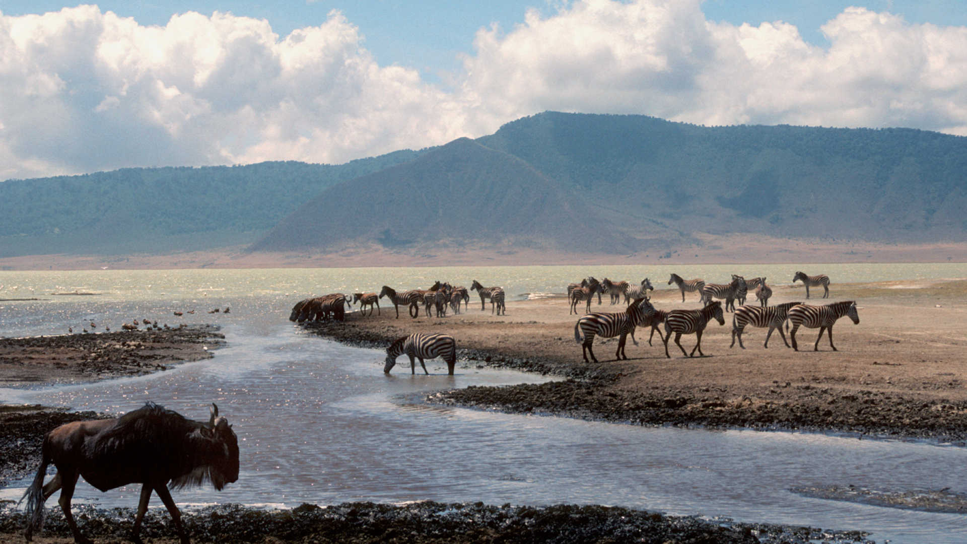 Ngorongoro Crater, Image Gallery, 1920x1080 Full HD Desktop