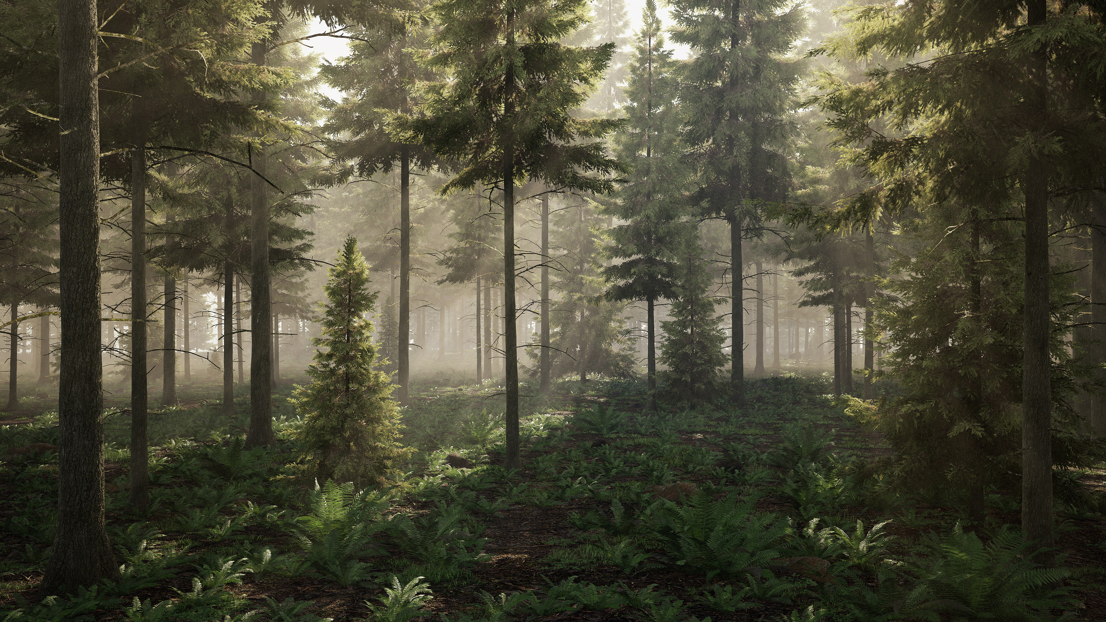 Artistic depiction, Spruce forest, Realistic artwork, Nature's abundance, 3840x2160 4K Desktop