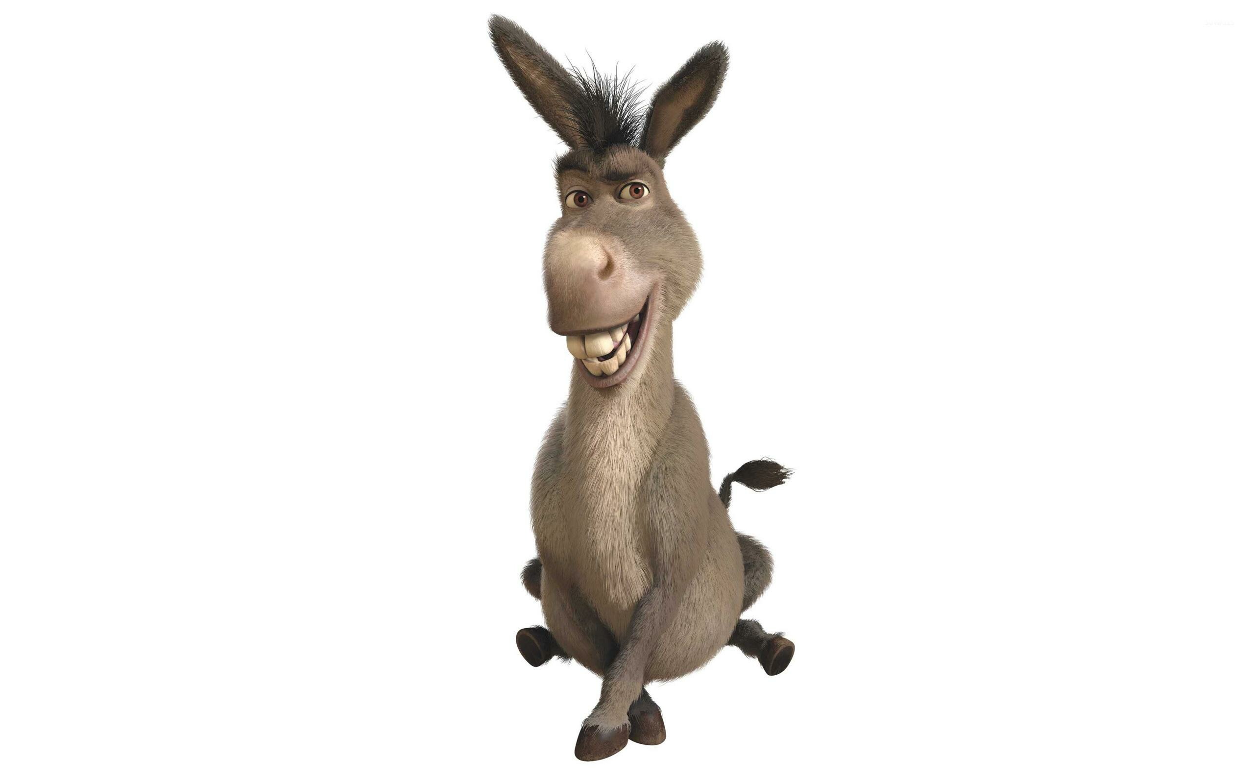 Donkey, Shrek Wallpaper, 2560x1600 HD Desktop