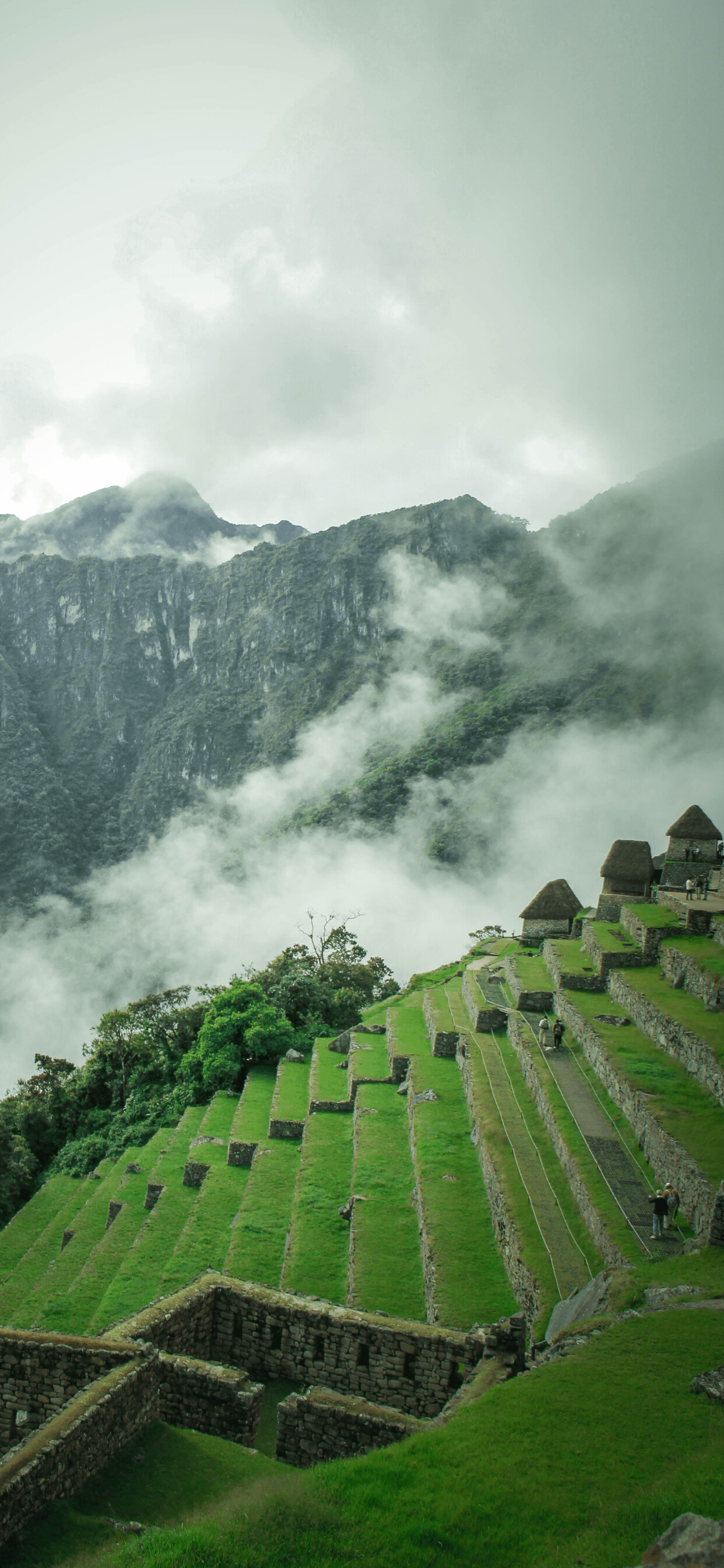 Terraces, Machu Picchu Wallpaper, 1250x2690 HD Phone