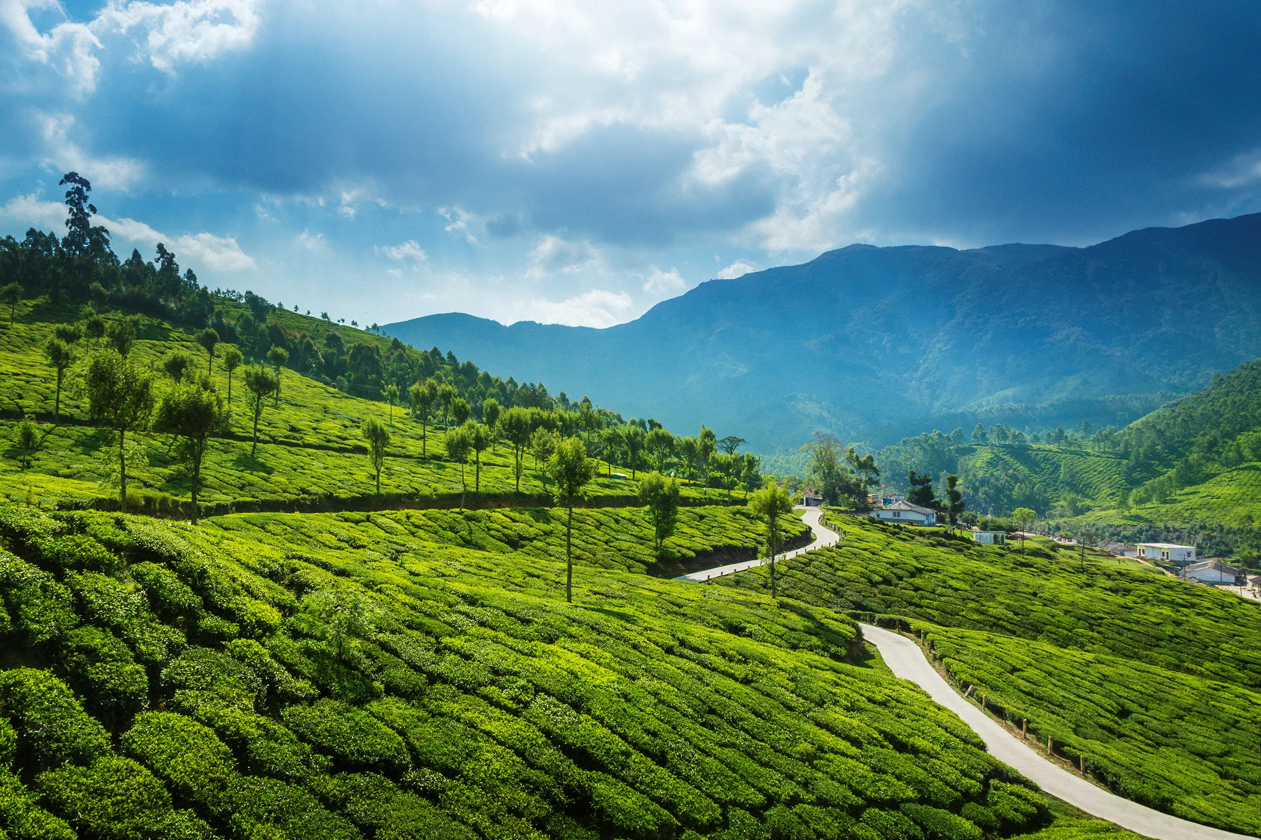 Kerala travel guide, Insider's tips, Hidden gems, Must-visit attractions, 2490x1660 HD Desktop