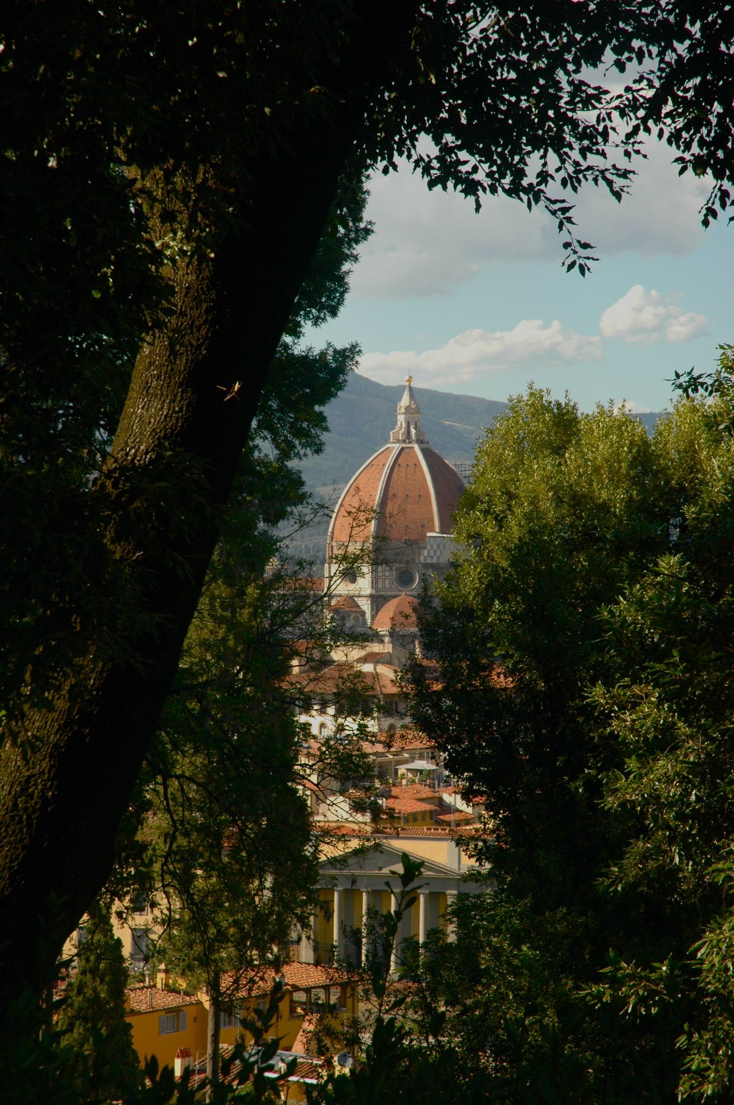 Florence anticipation, Firenze vibes, Toscana scenery, Italian charm, 1490x2240 HD Phone