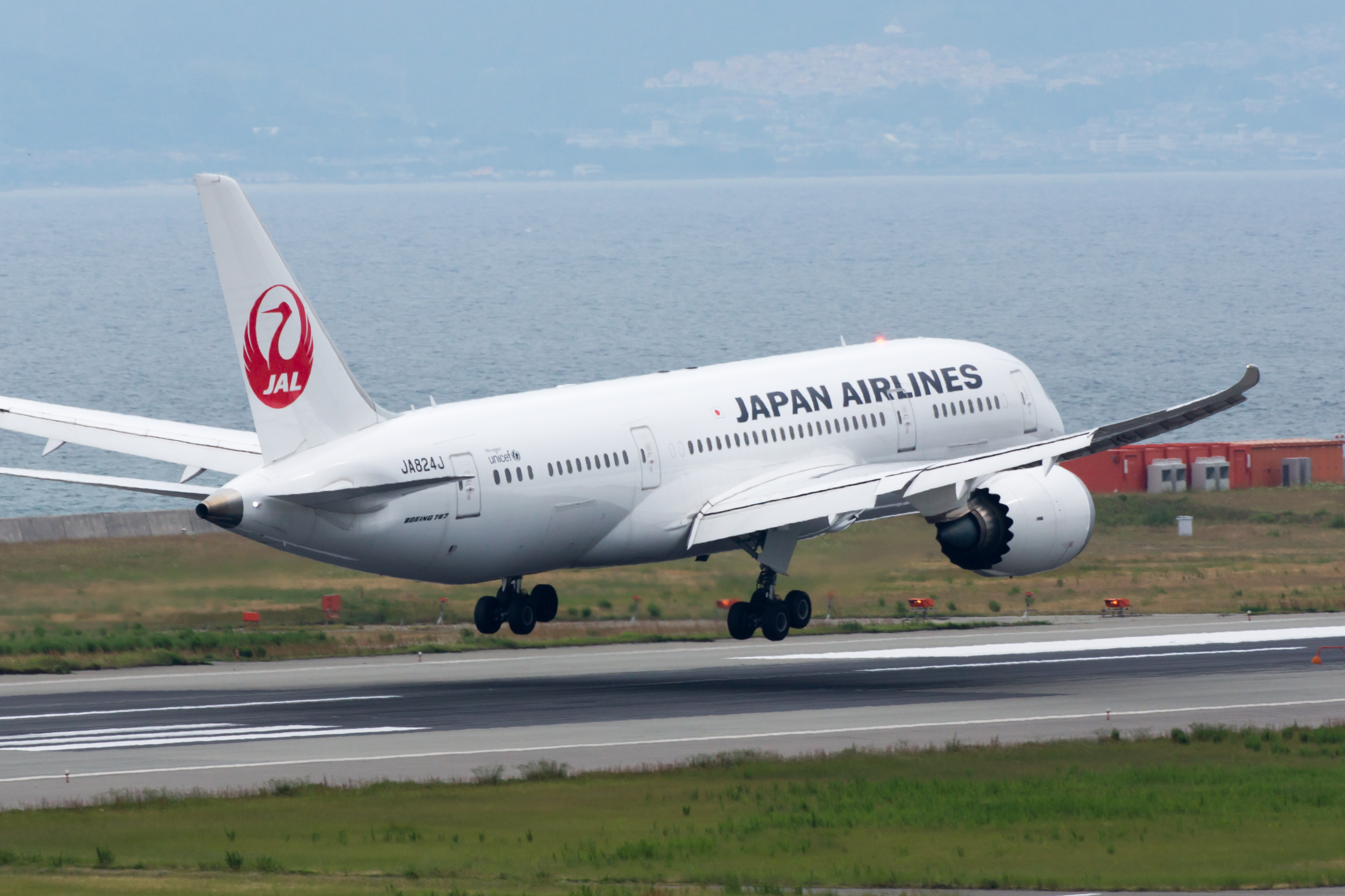 Japan Airlines, Bird liveries, Tsurumaru logo, Aviation community, 3000x2000 HD Desktop