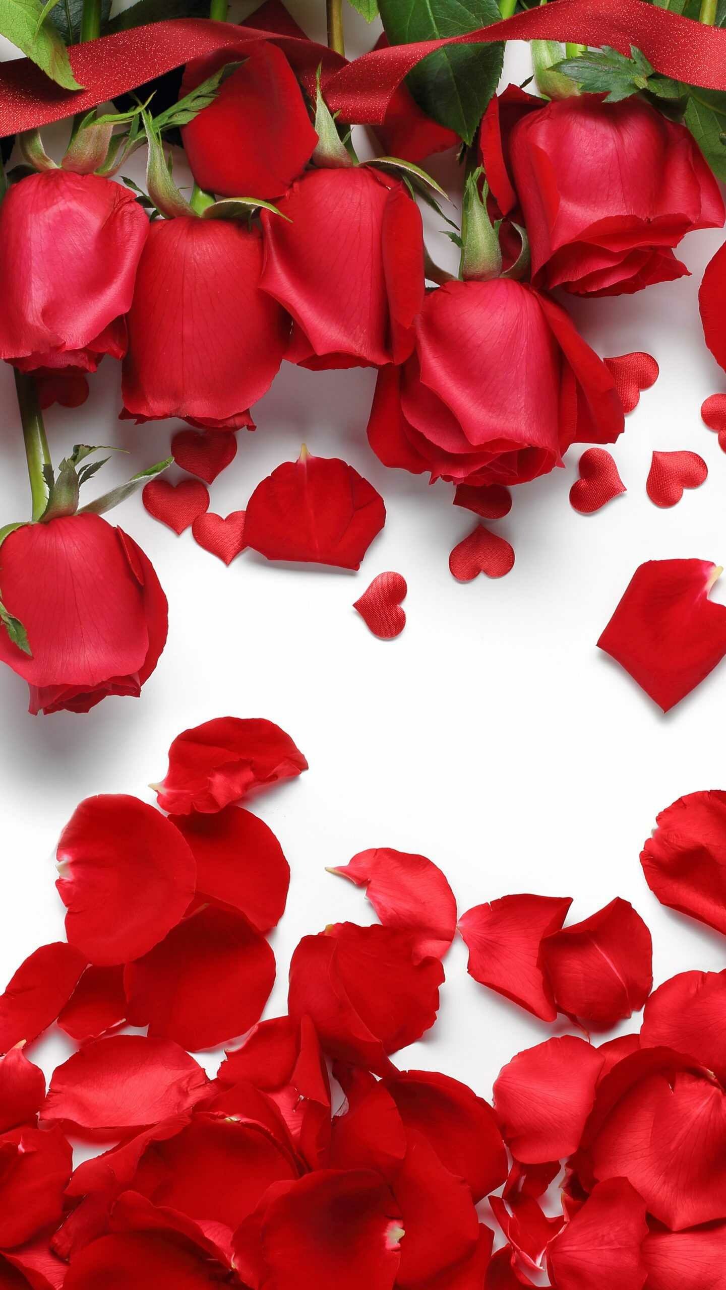 Petals, Roses Wallpaper, 1440x2560 HD Phone