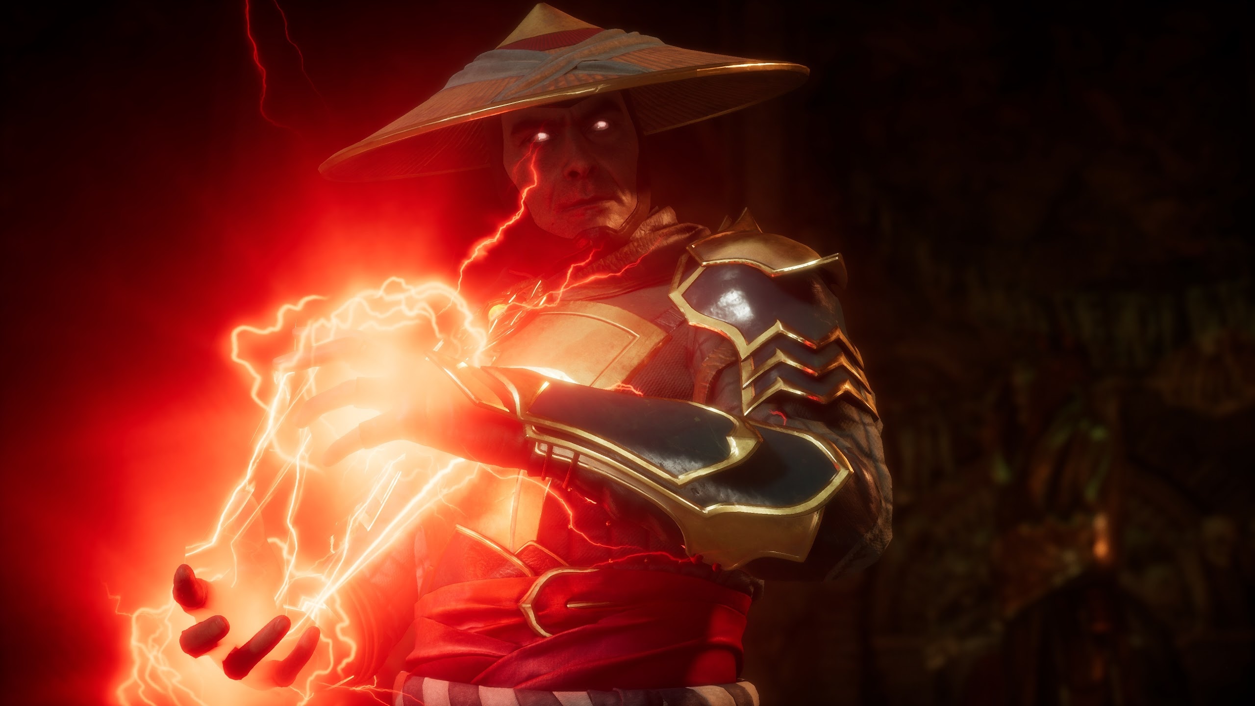 Raiden MK11, Stunning wallpapers, Imposing figure, Dynamic artwork, 2560x1440 HD Desktop