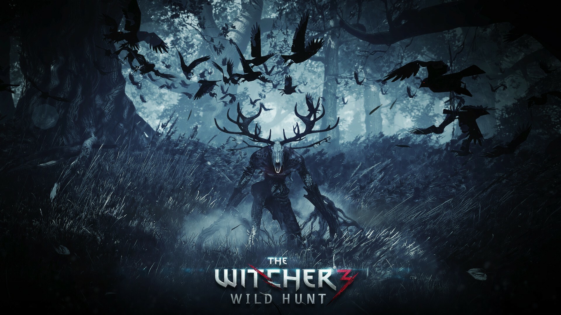 The Witcher 3 Wild Hunt, Video game, High-resolution wallpapers, Immersive landscapes, 1920x1080 Full HD Desktop