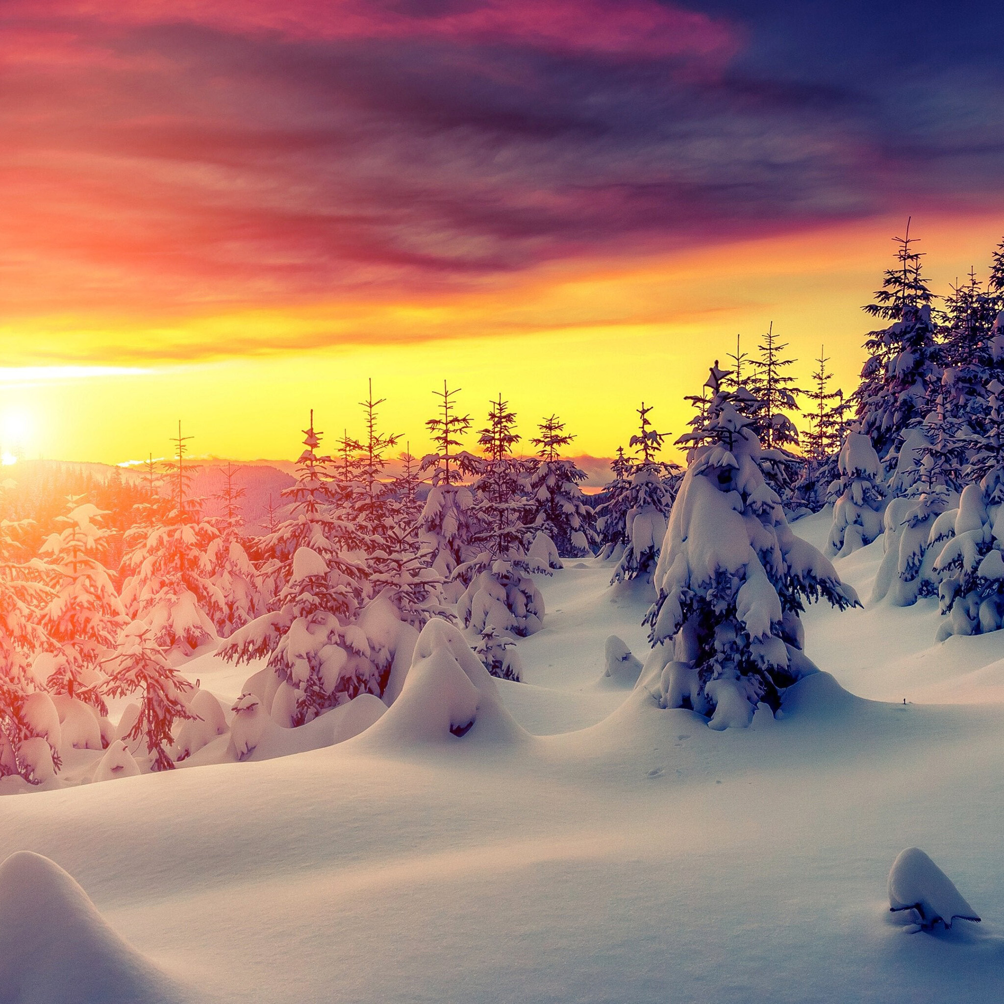 Winter wonderland, 4k winter landscapes, Desktop ipad iphone wallpapers, Serene snowy scenes, 2050x2050 HD Phone