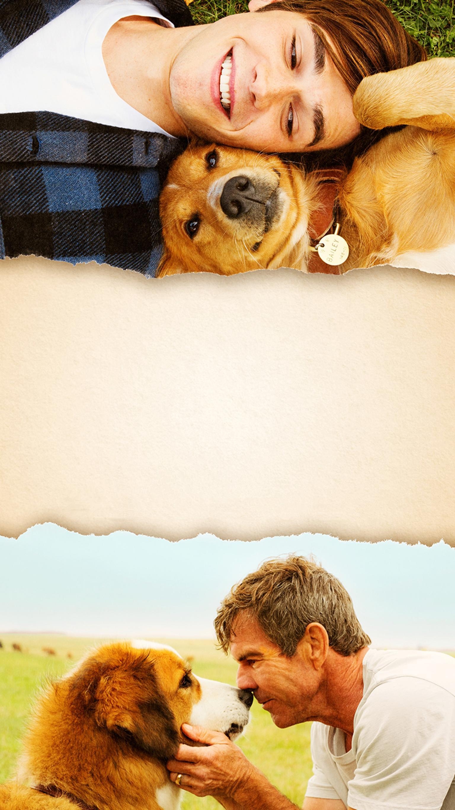 Purpose wallpapers, Inspiring movie, Emotional journey, Dog's perspective, 1540x2740 HD Phone