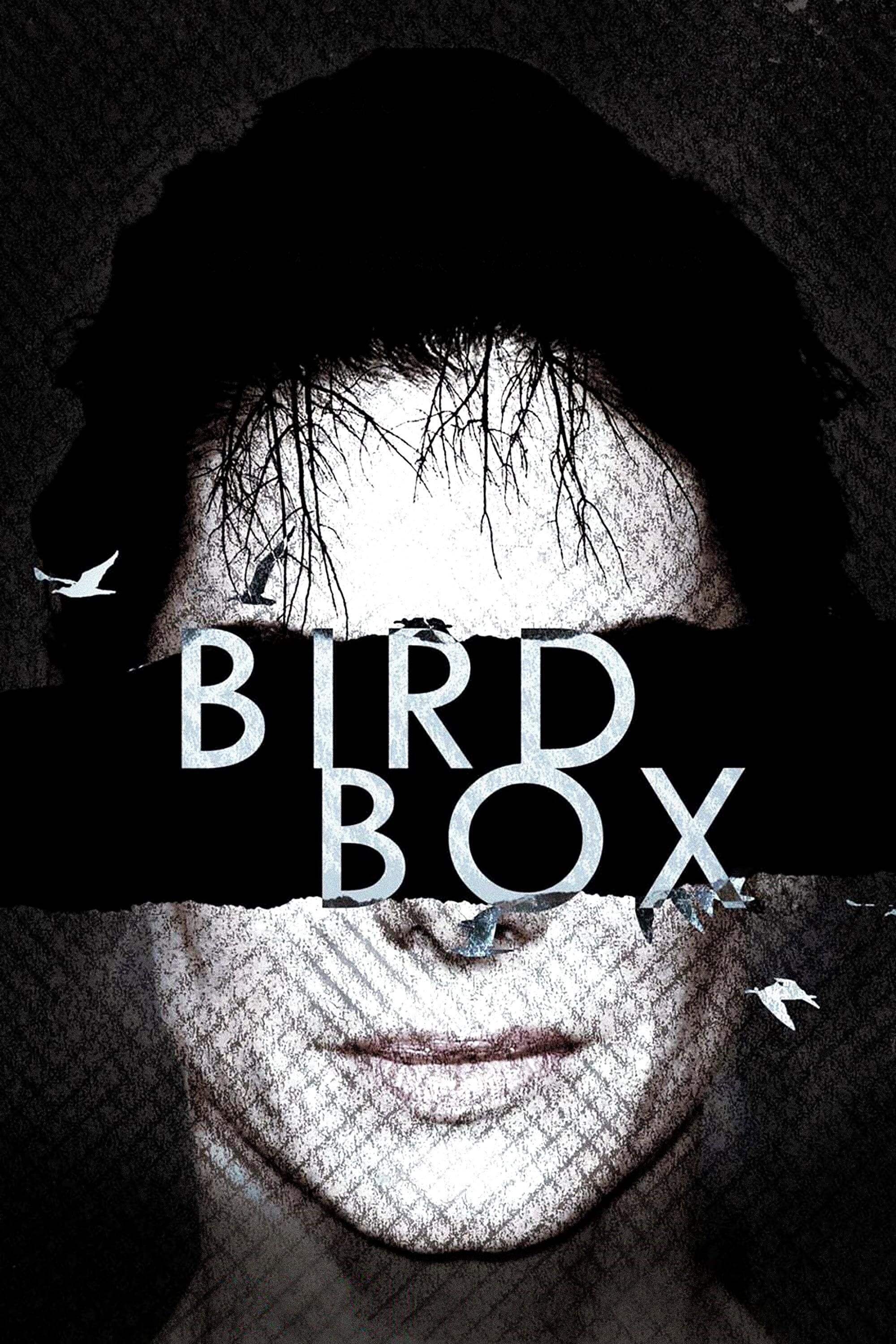 Bird Box, Film posters, Eye-catching design, Promotional material, 2000x3000 HD Phone