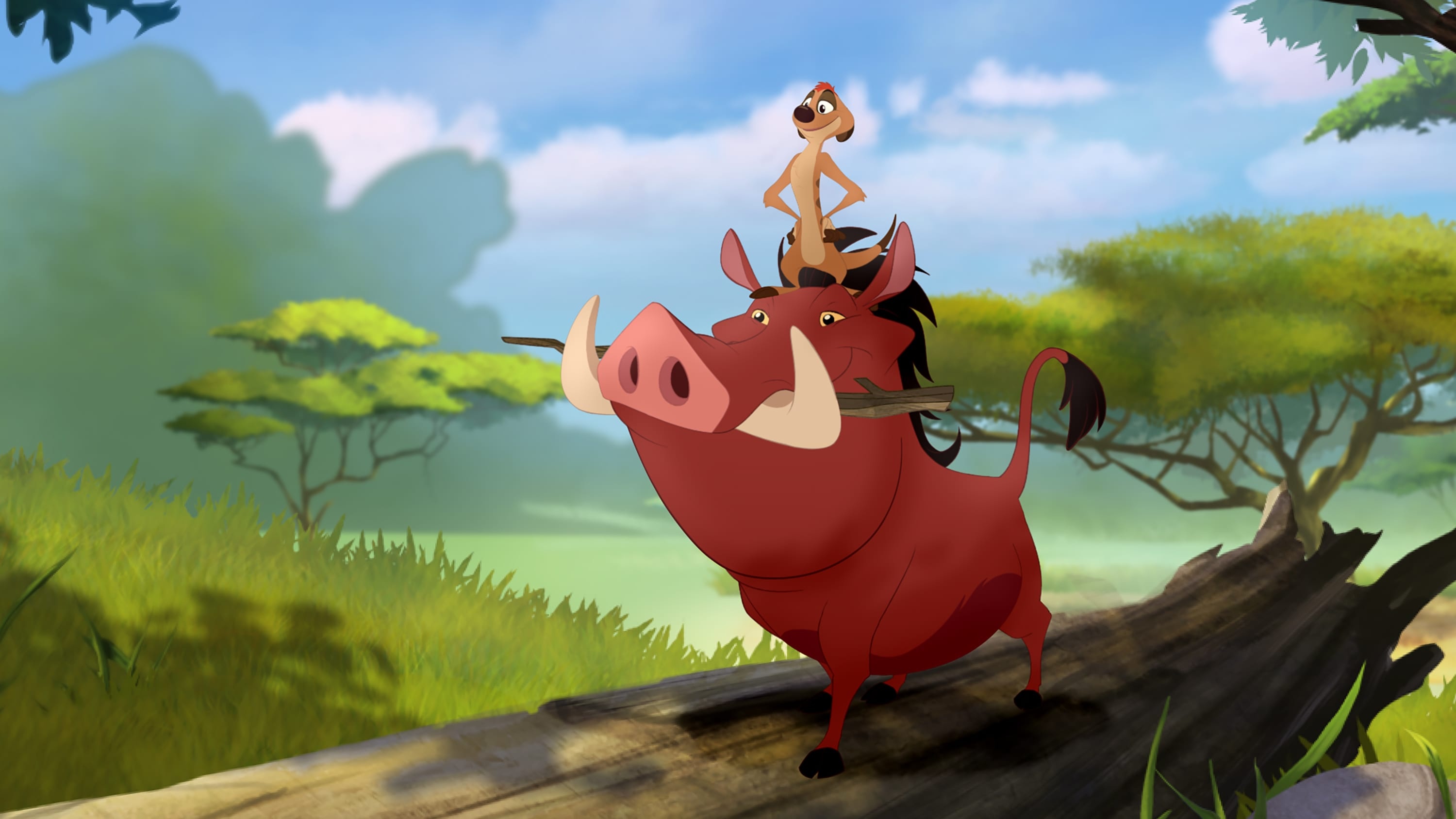 Timon and Pumbaa, Hakuna Matata Wallpaper, 3000x1690 HD Desktop