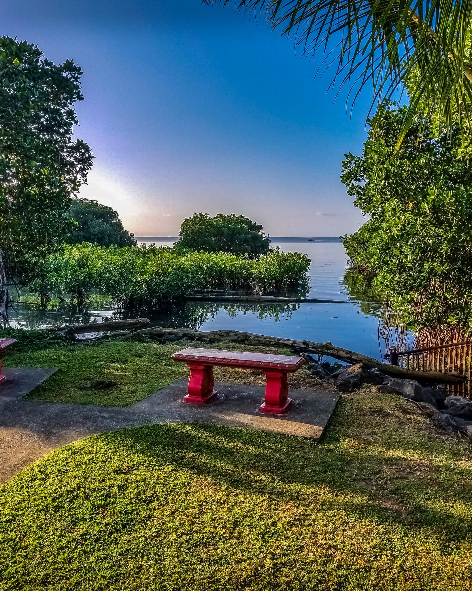 Suva, Fiji, Park in Suva, 1640x2050 HD Phone