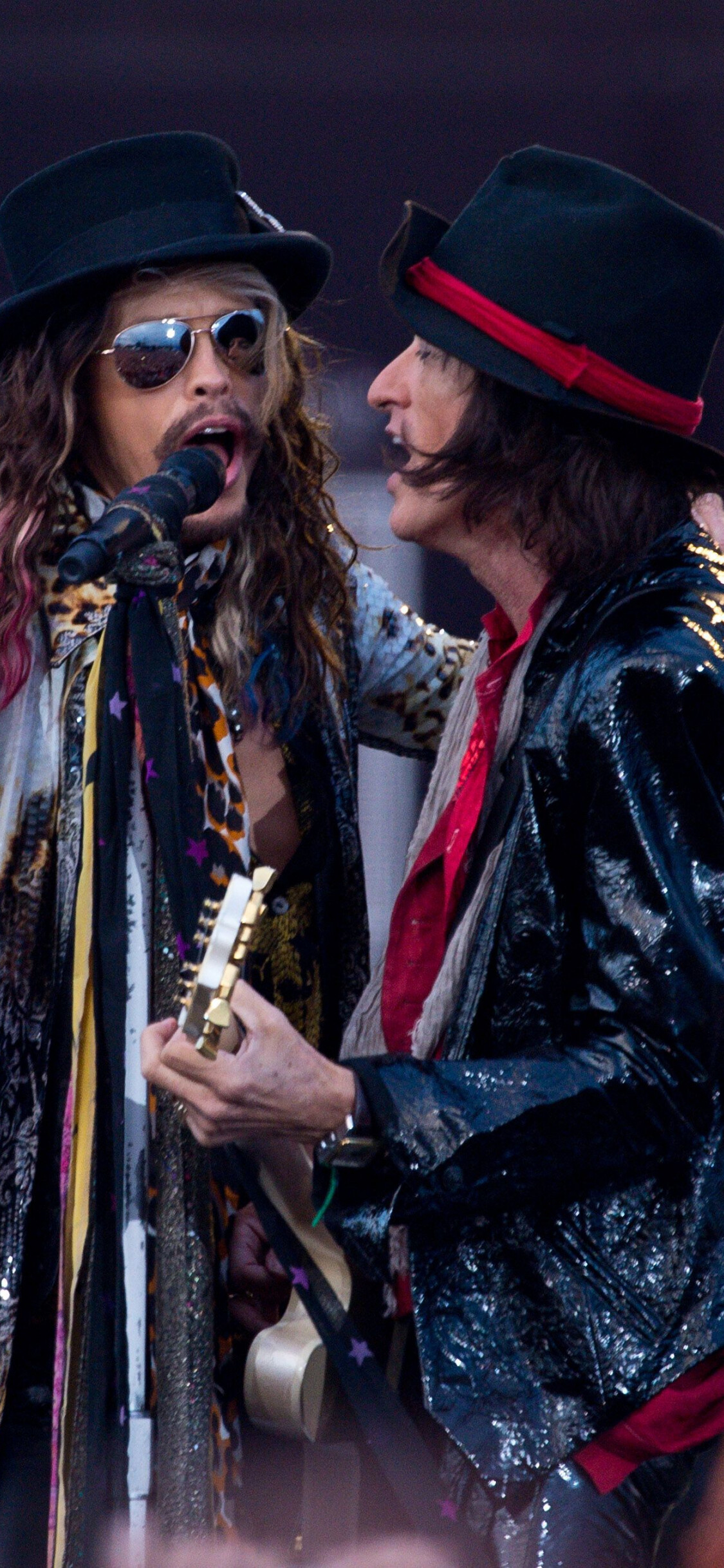 Calling Festival 2014, Aerosmith Wallpaper, 1130x2440 HD Phone