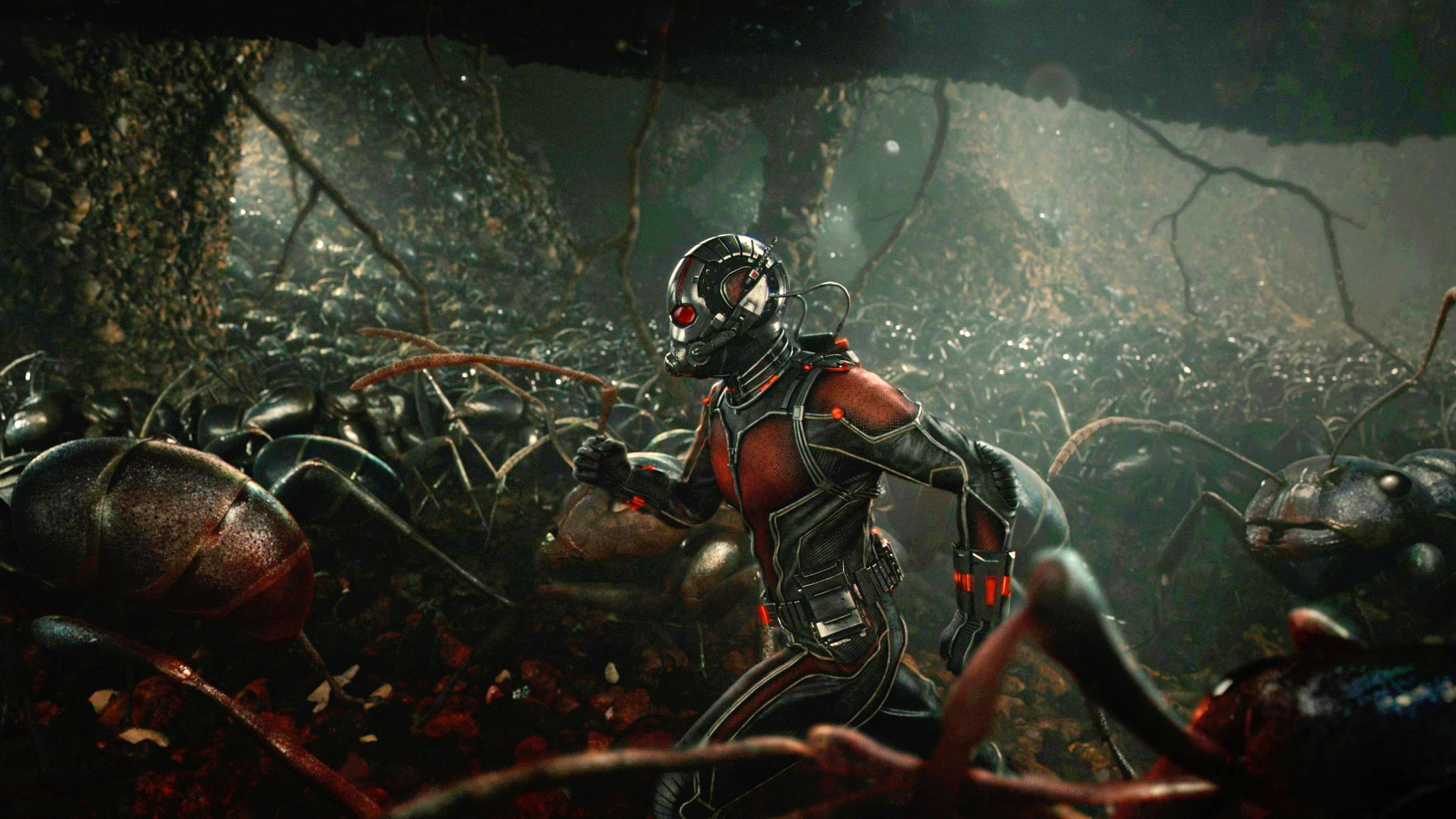 Comics Ant-Man, HD wallpapers, 2010x1130 HD Desktop