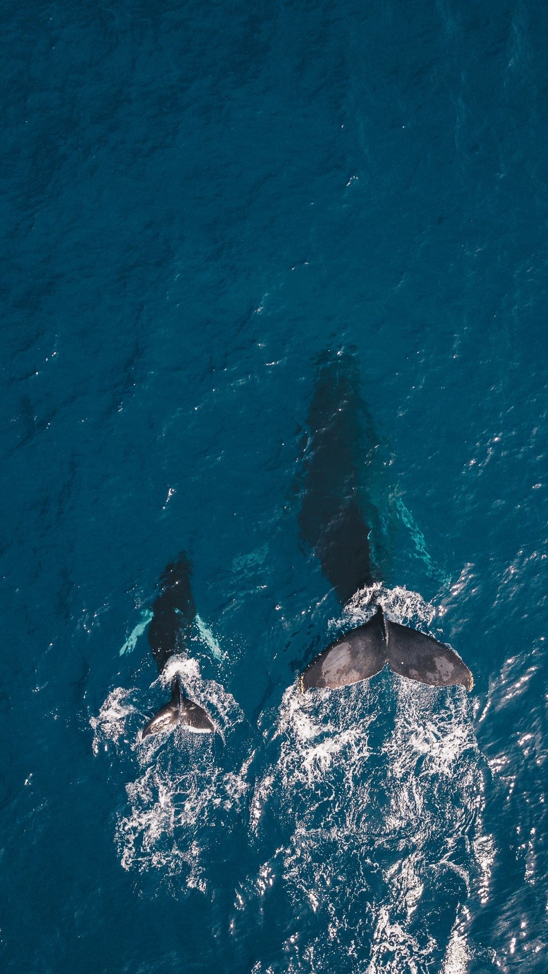 Hand in hand, Ocean beauty, Nature photography, Preppy wallpaper, 1080x1920 Full HD Phone