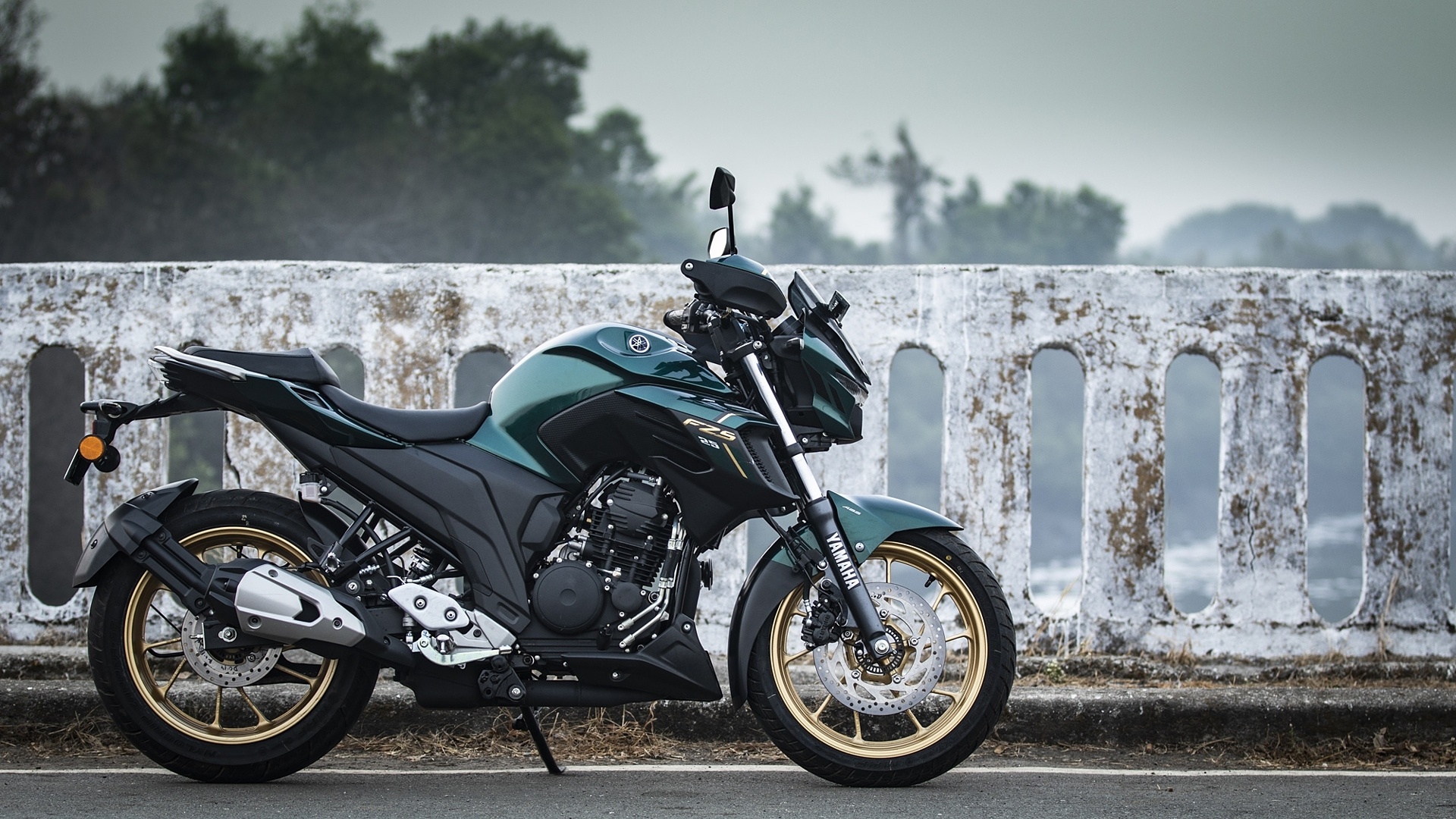 Yamaha FZ 25, Colours in India, Colour images, Bikewale, 1920x1080 Full HD Desktop